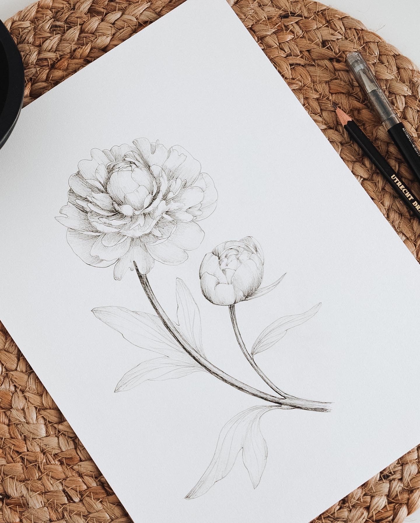 Original Ink Illustrations