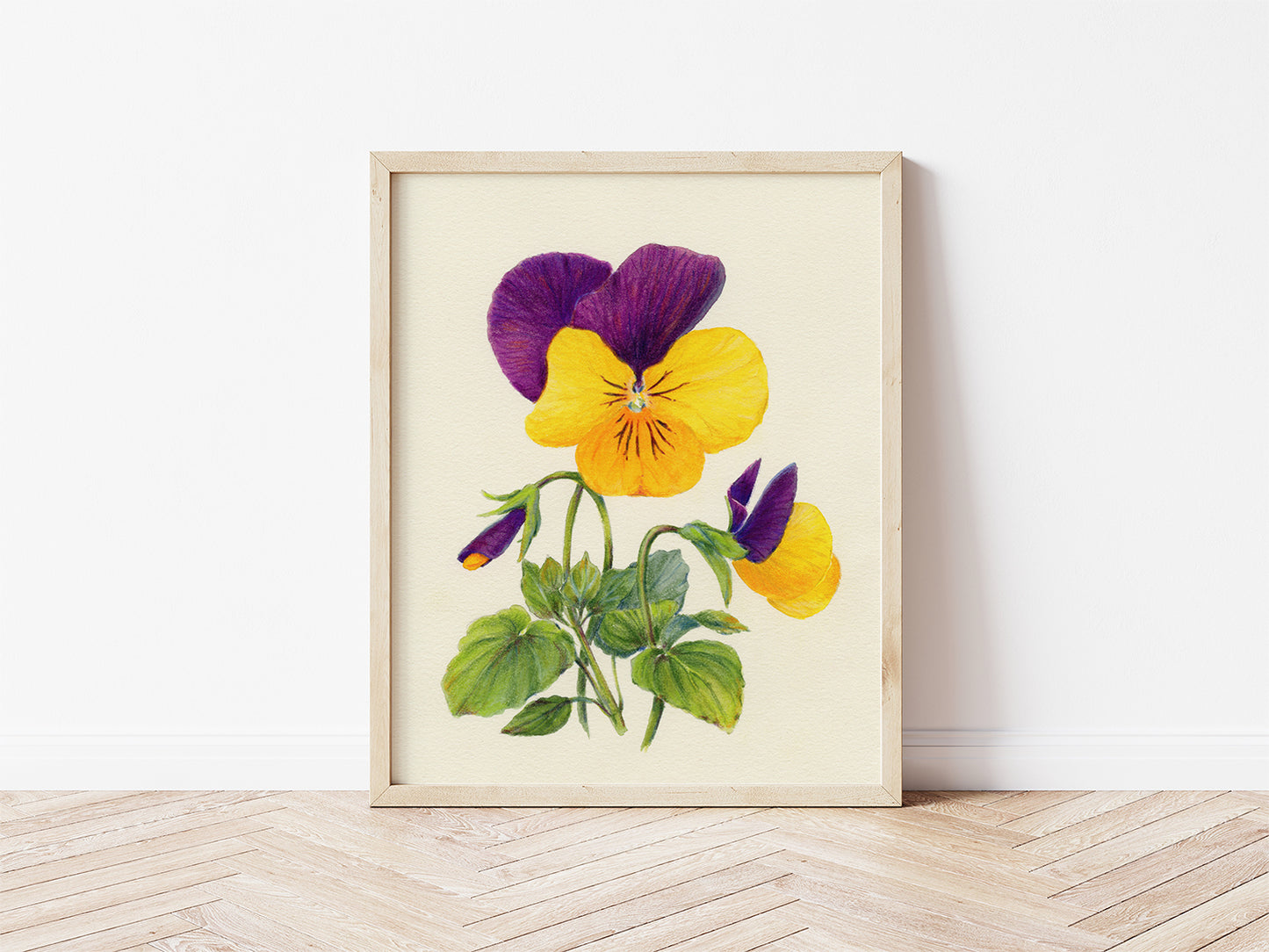 'Yellow and Purple Pansies' giclee print. Unframed