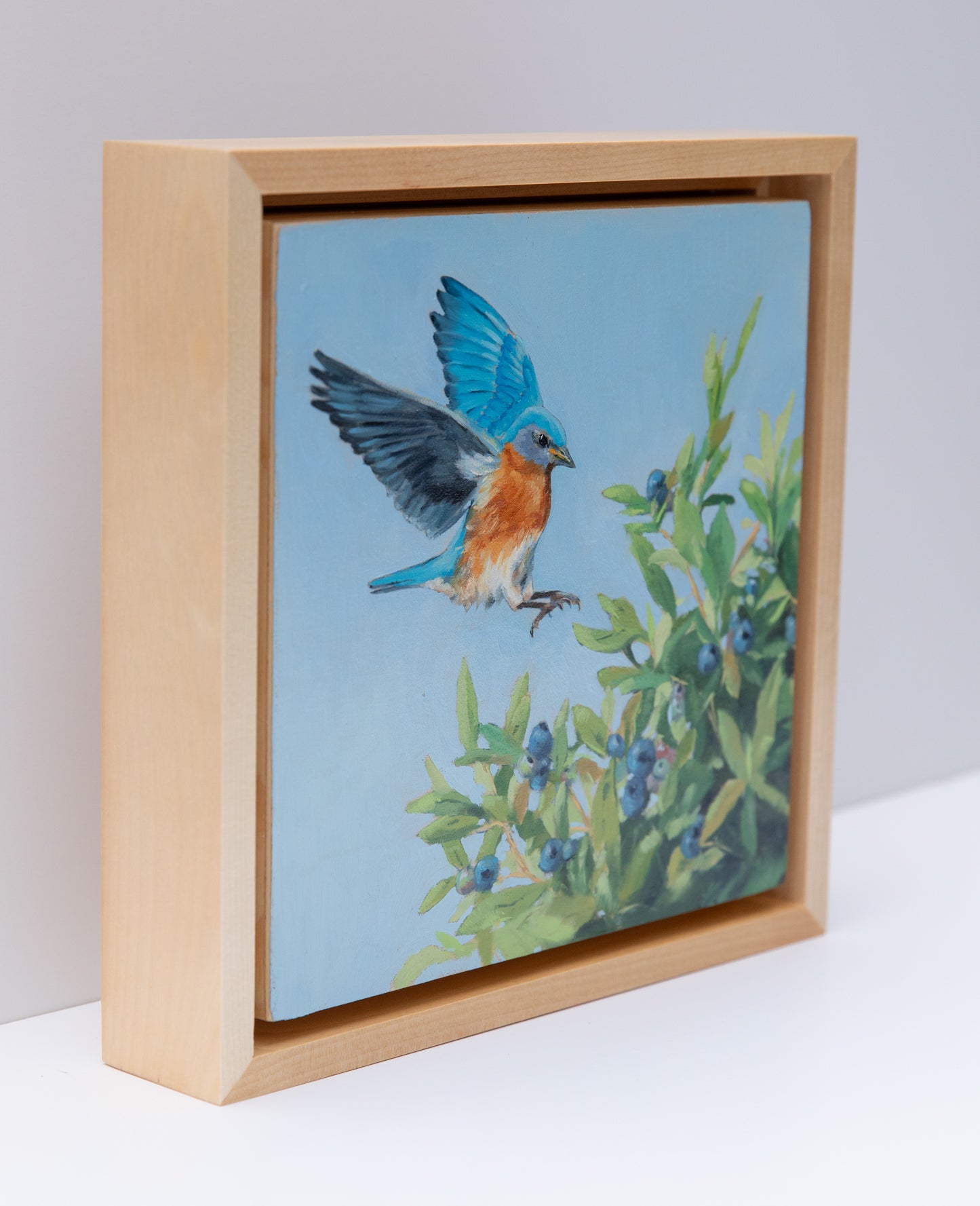 "Blueberry Thief" 8x8 original oil painting. Framed