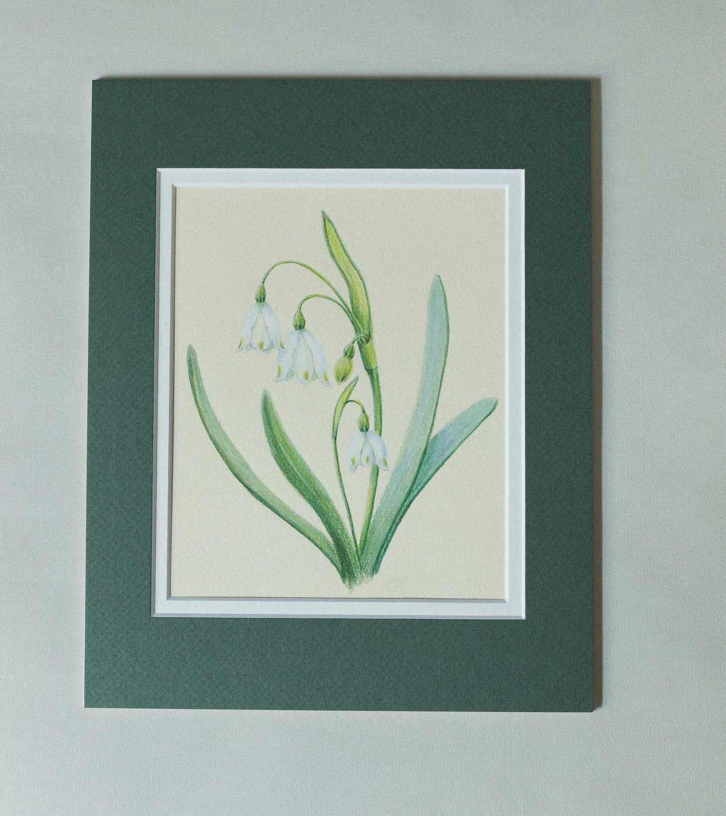 'Snow drops' mixed media illustration. 8x6in