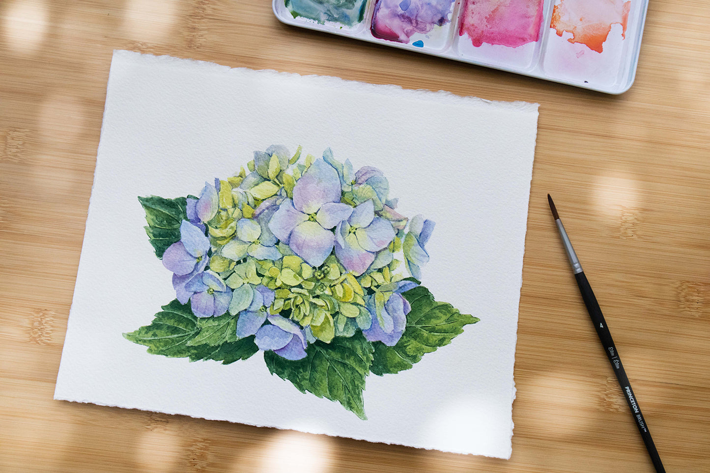 'Coming into Bloom' Original Blue Hydrangea watercolor illustration. 8x10in