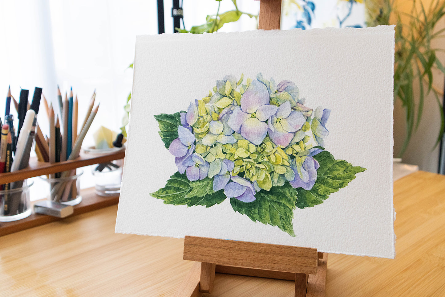 'Coming into Bloom' Original Blue Hydrangea watercolor illustration. 8x10in