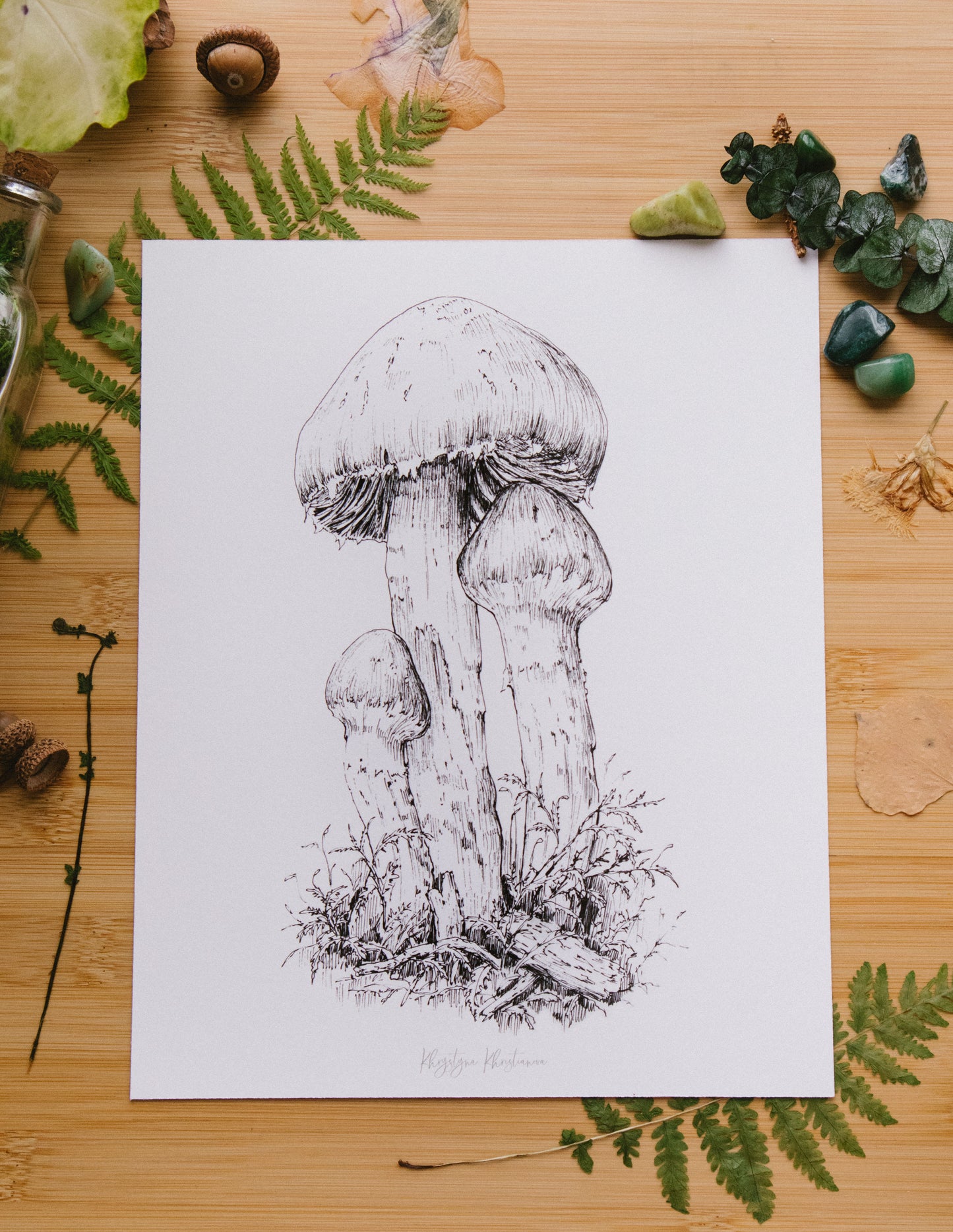 Mushroom Etude #1' giclee print. Unframed