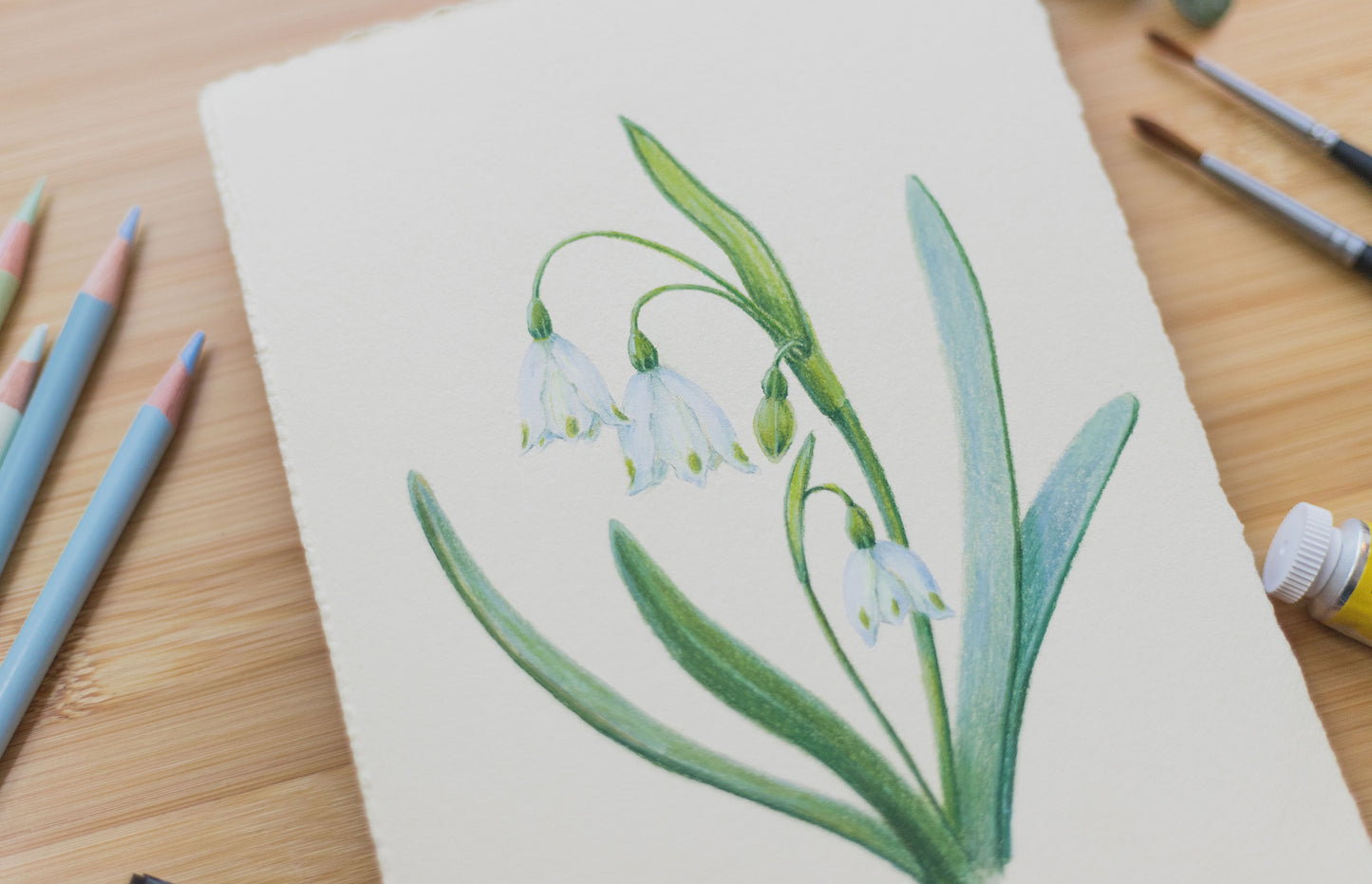 'Snow drops' mixed media illustration. 8x6in