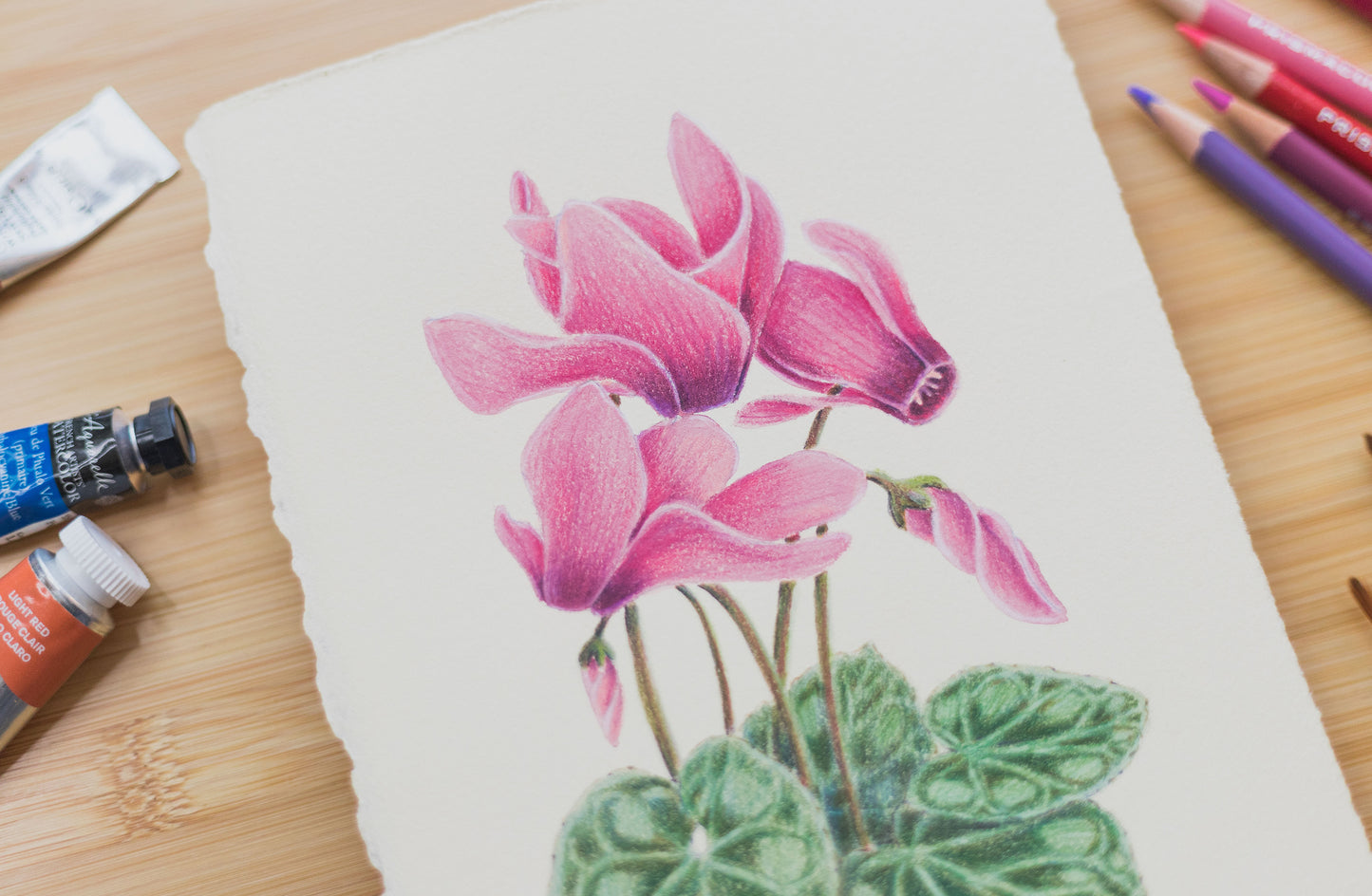 'Cyclamen' mixed media illustration. 8x6in