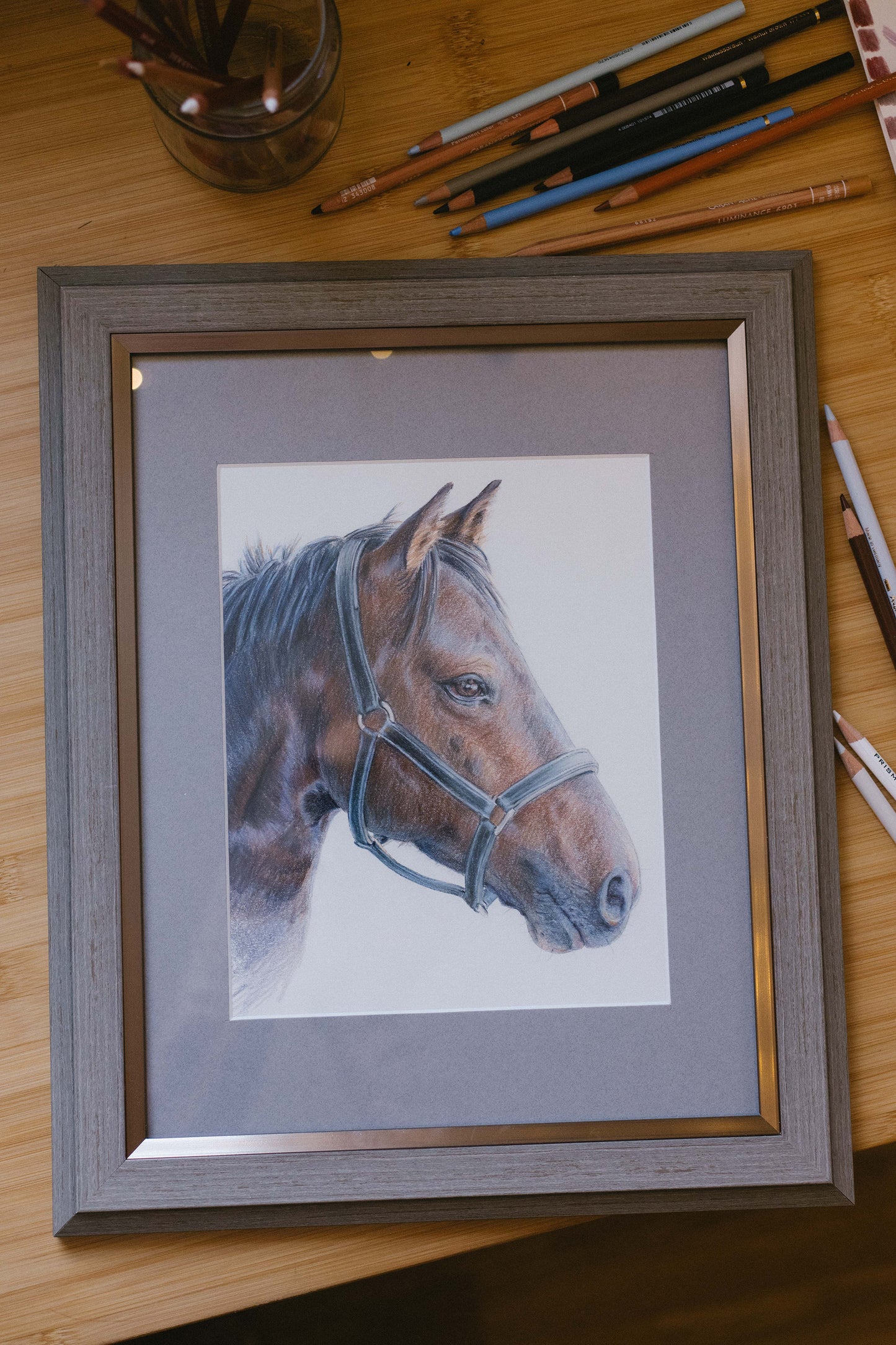 "Truffle" Original color pencil drawing. 8,5x 11. Framed