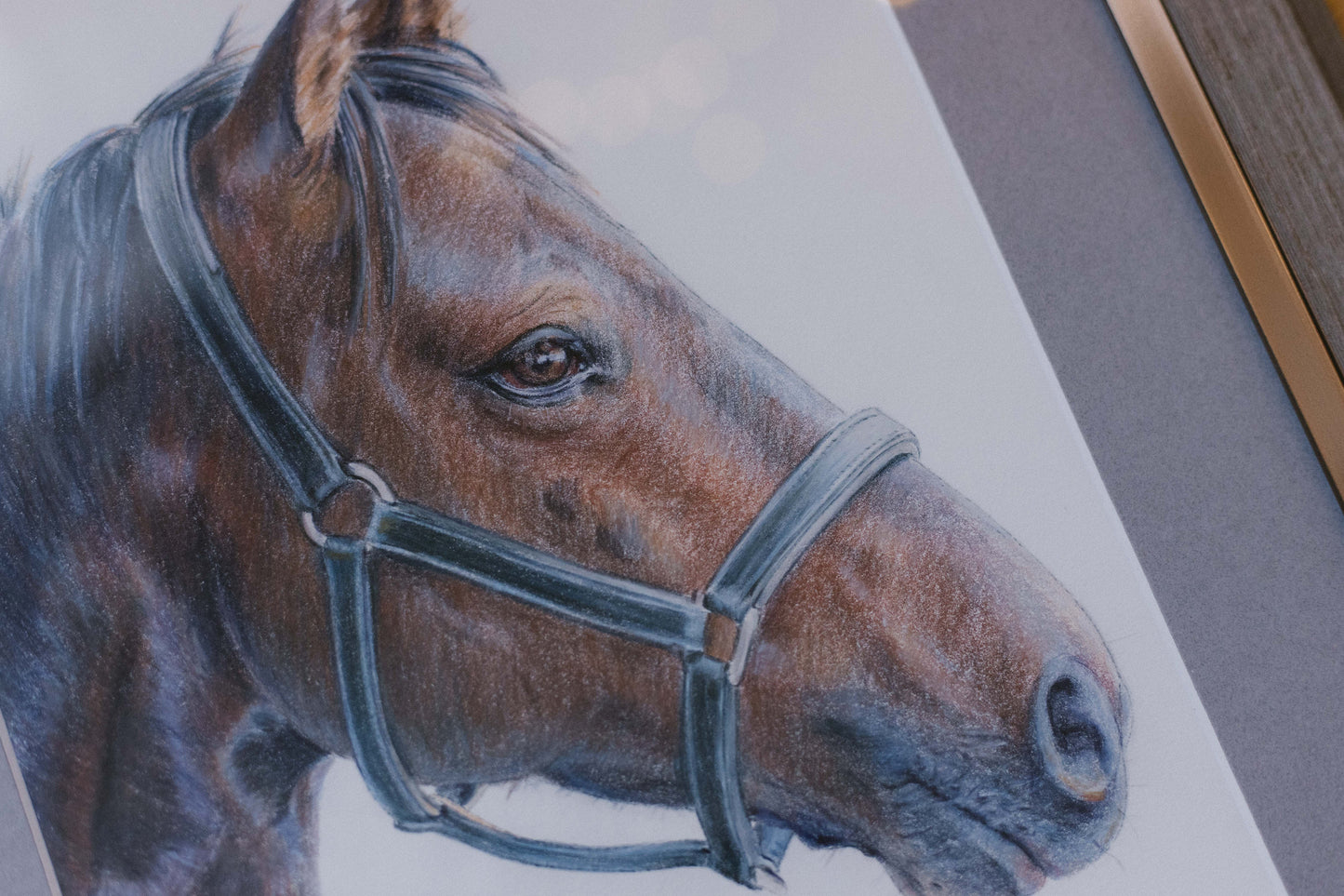 "Truffle" Original color pencil drawing. 8,5x 11. Framed