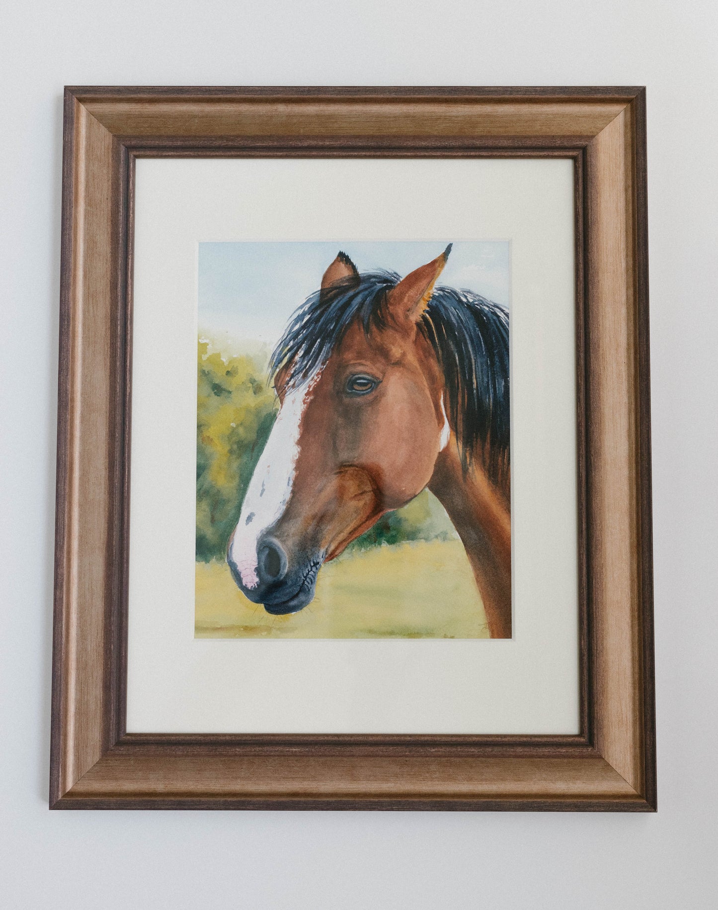 Amber eyes, original watercolor horse illustration, 8x10, framed