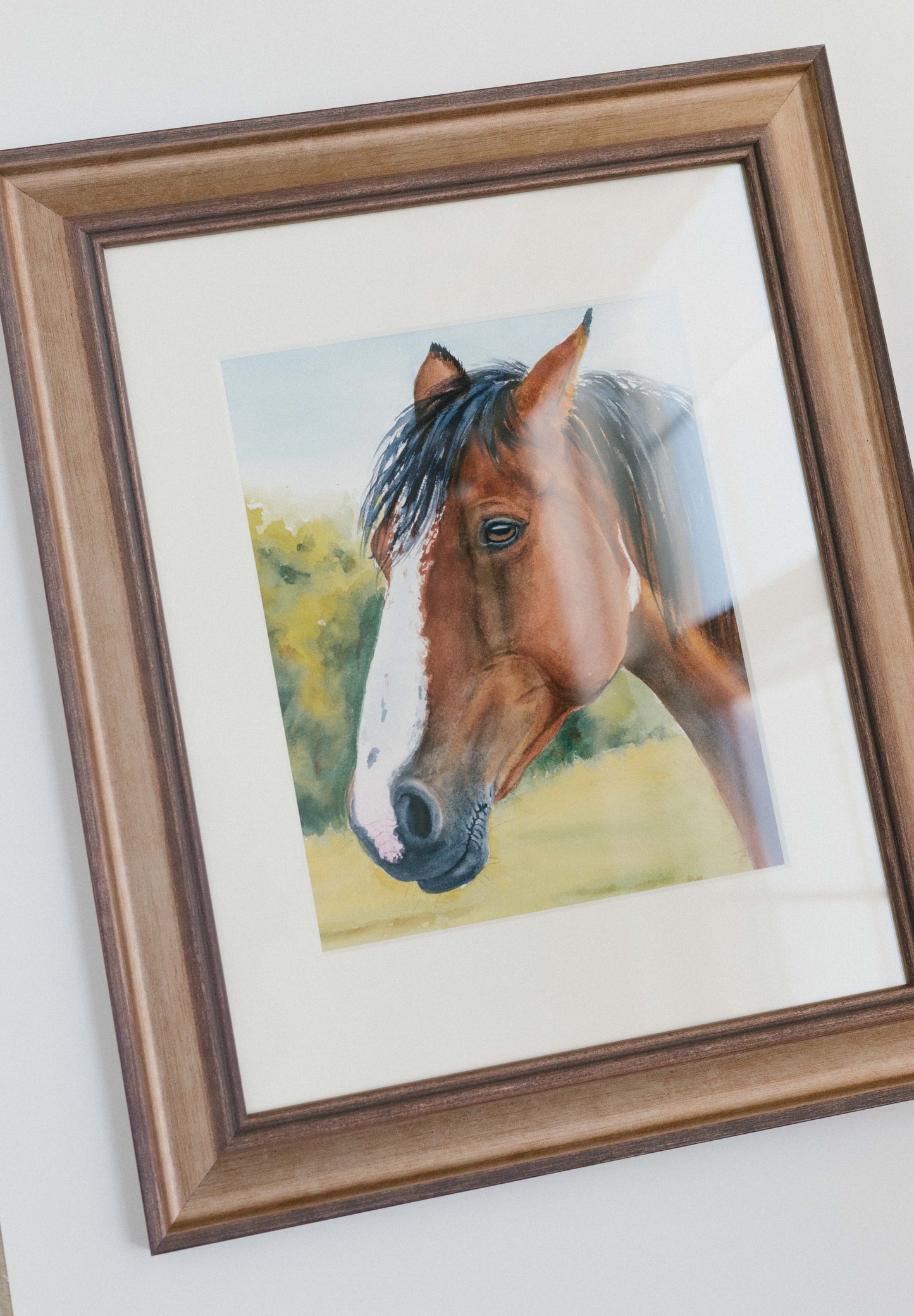 Amber eyes, original watercolor horse illustration, 8x10, framed