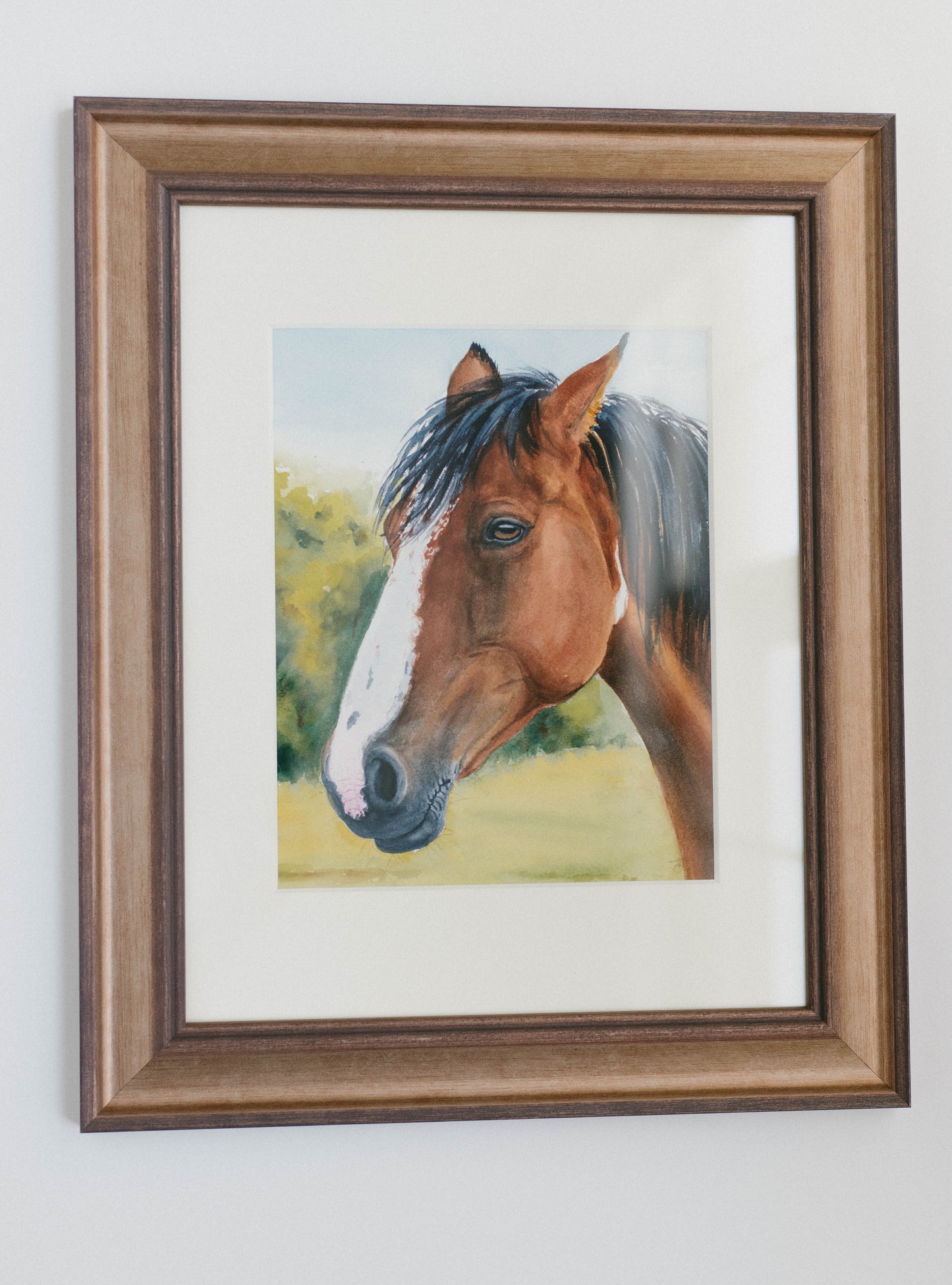 Amber eyes, original watercolor horse illustration, 8x10, framed