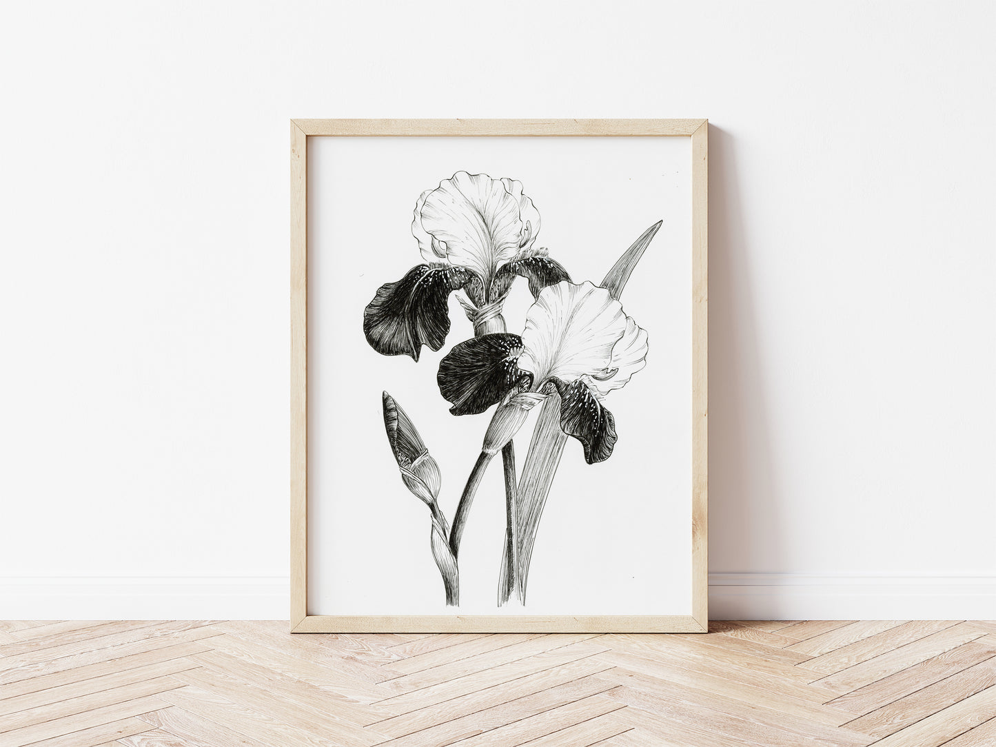 'Heirloom Irises' Original Ink Illustration. 8x10in
