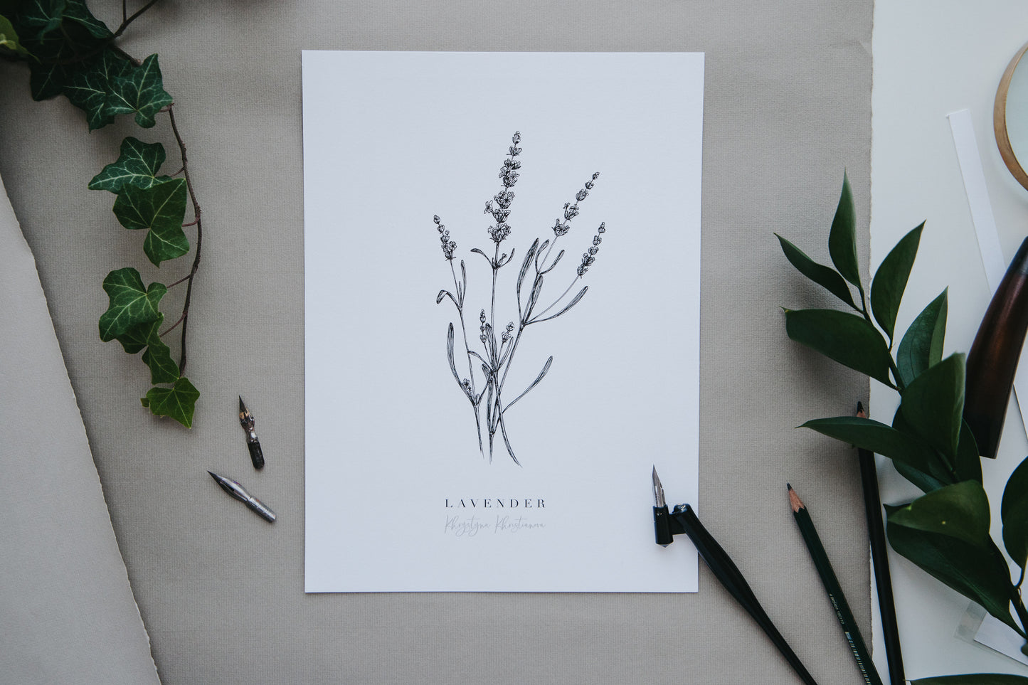 'Lavender' giclee print. Unframed
