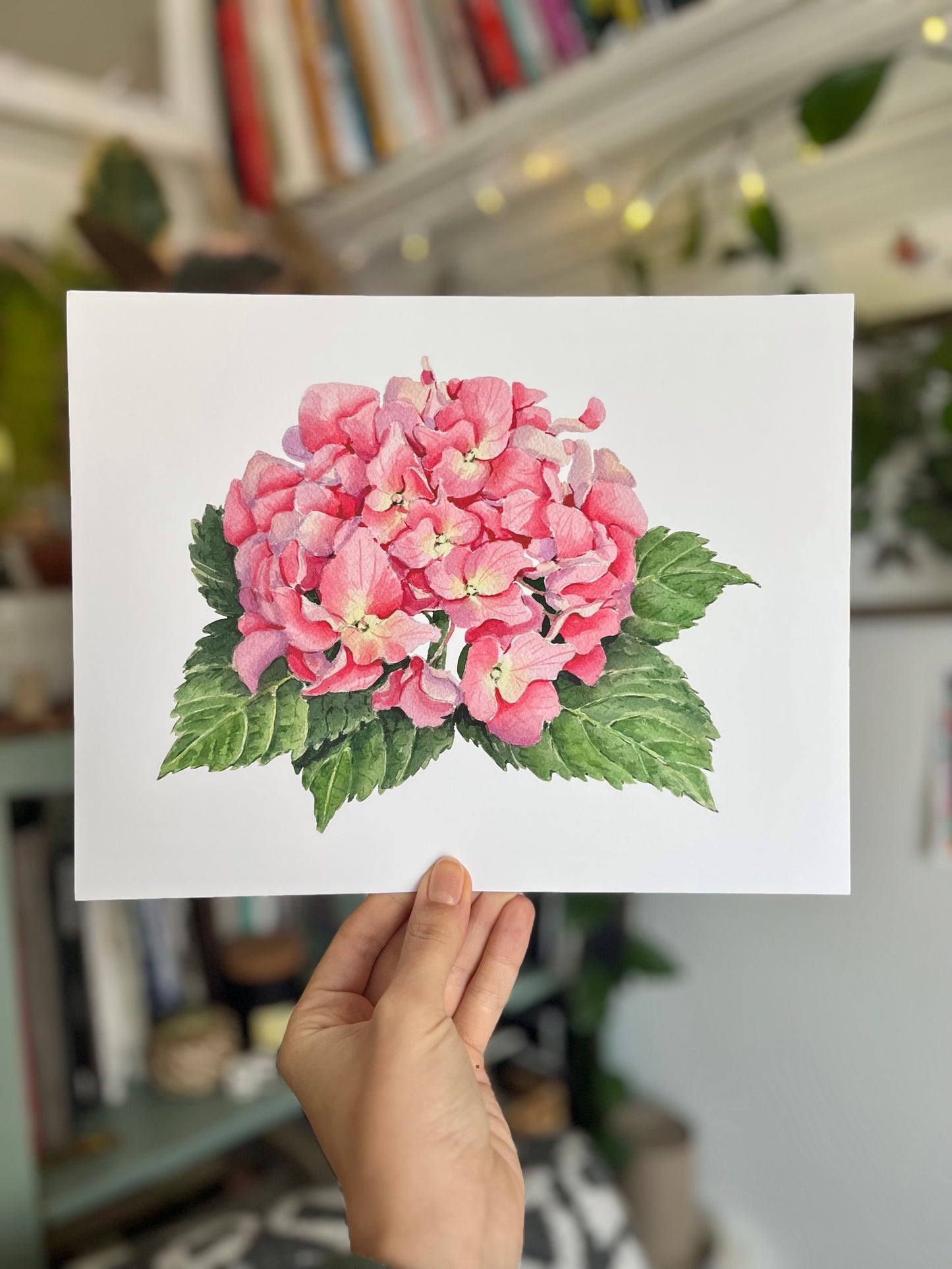 'Pink Hydrangea' giclee print. Unframed