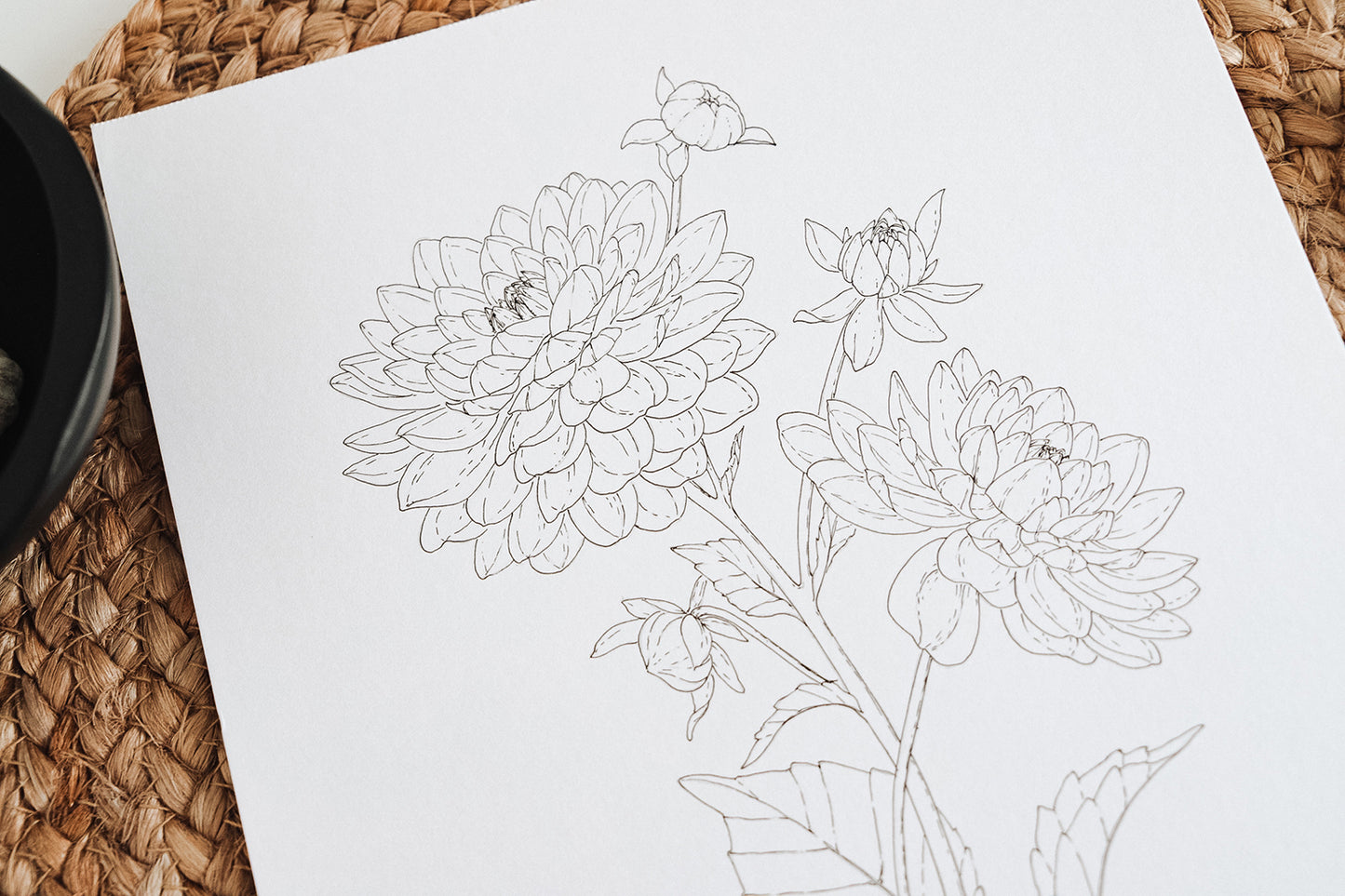 'Dahlia' Original Ink Illustration. 9x12in.