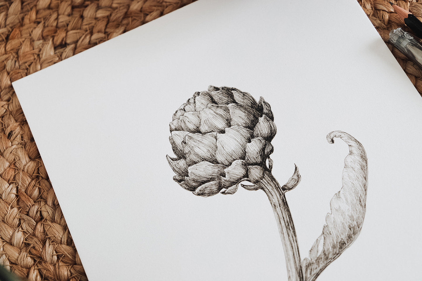 'Artichoke' Original Ink Illustration. 8.5x11in