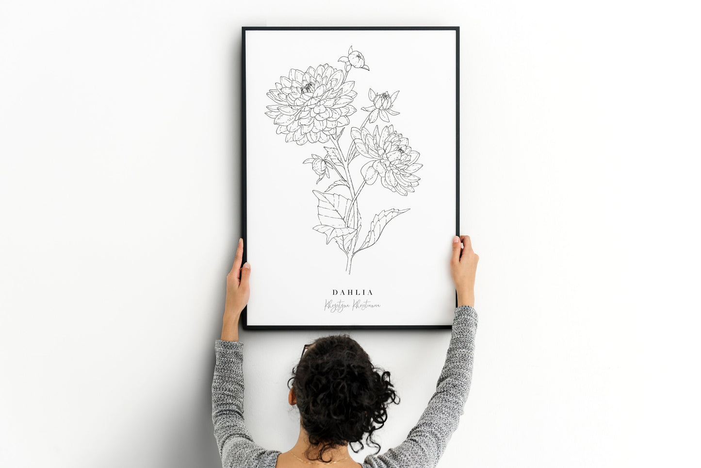 'Dahlia in ink' giclee print. Unframed