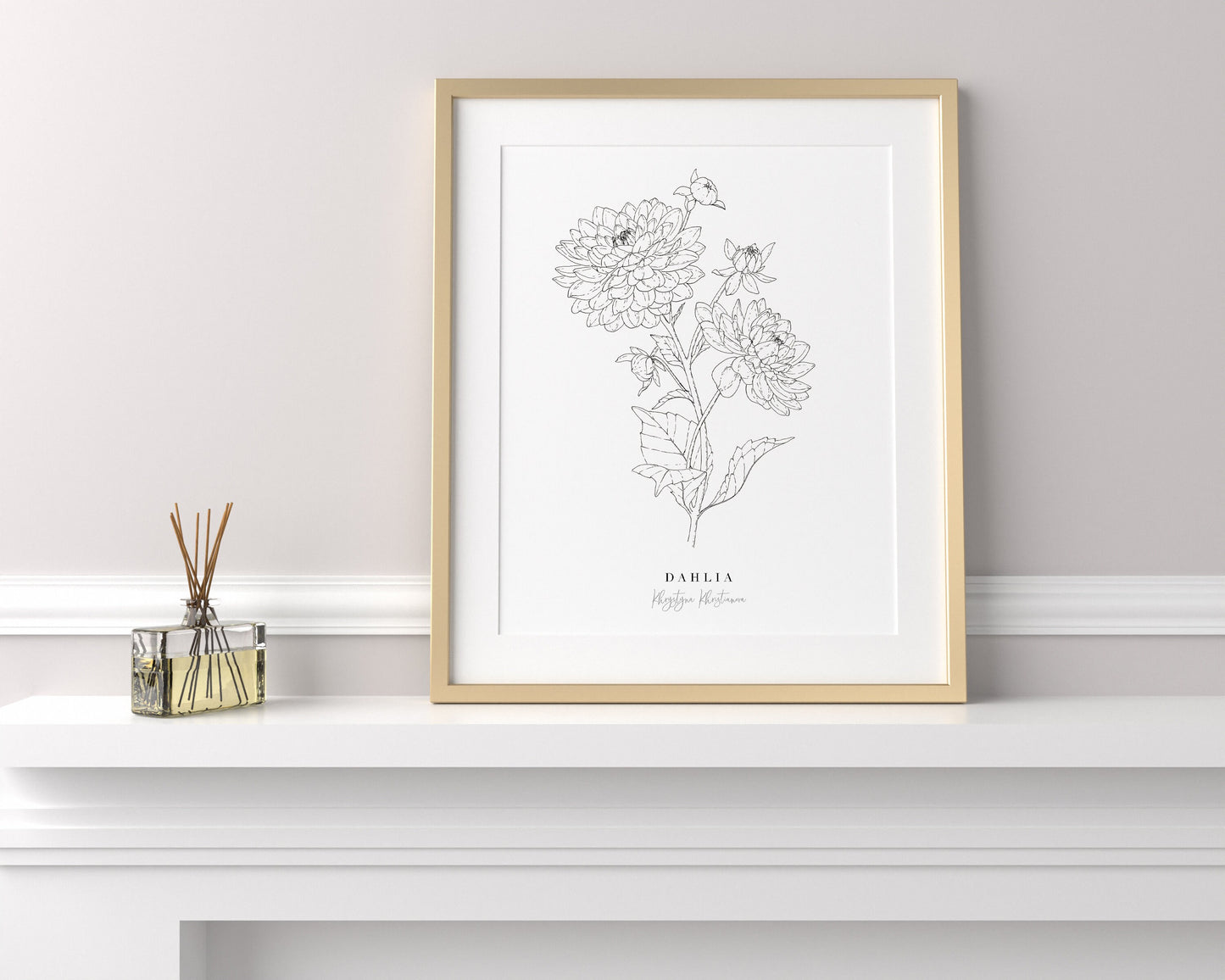 'Dahlia in ink' giclee print. Unframed