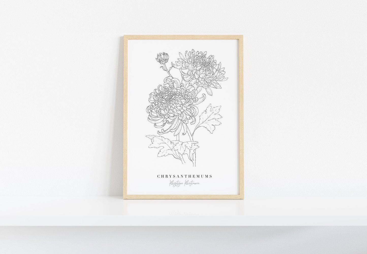 'Chrysanthemums' giclee print. Unframed