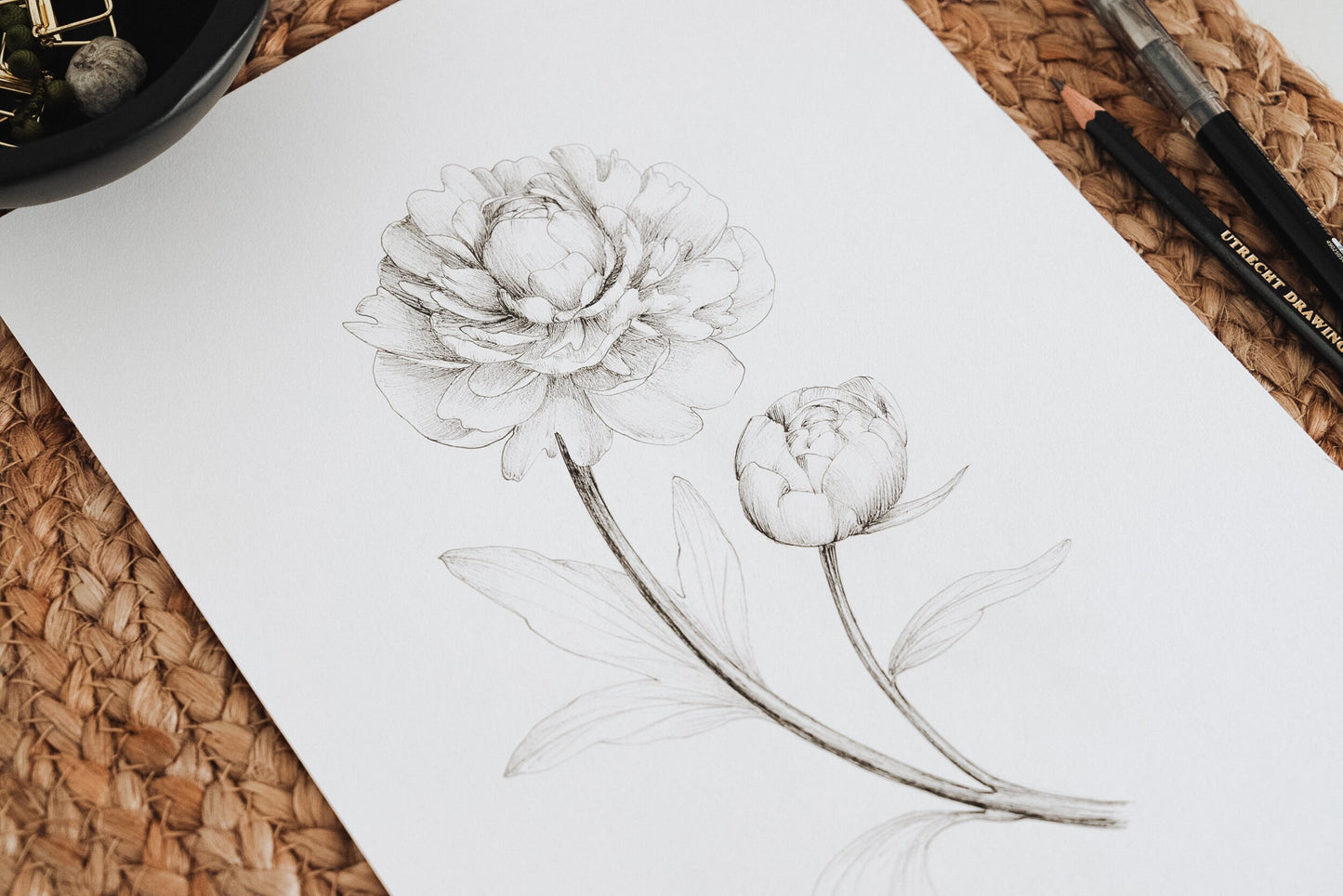 'Peony' Original Ink Illustration. 9x12in