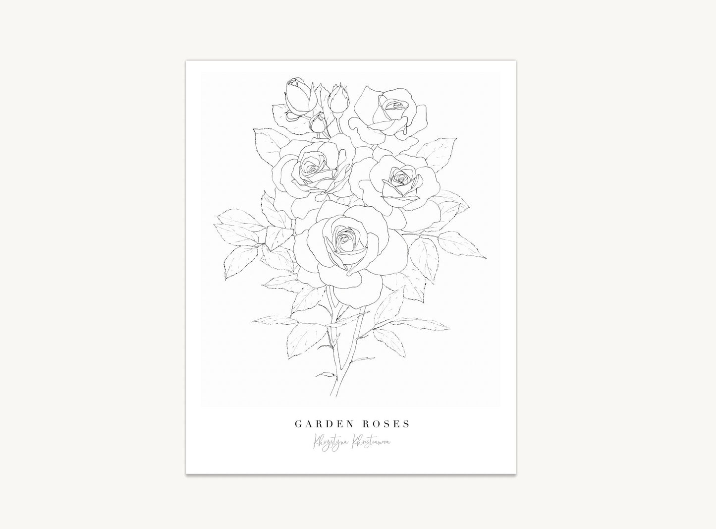 'Garden Rose Branch' giclee print. Unframed