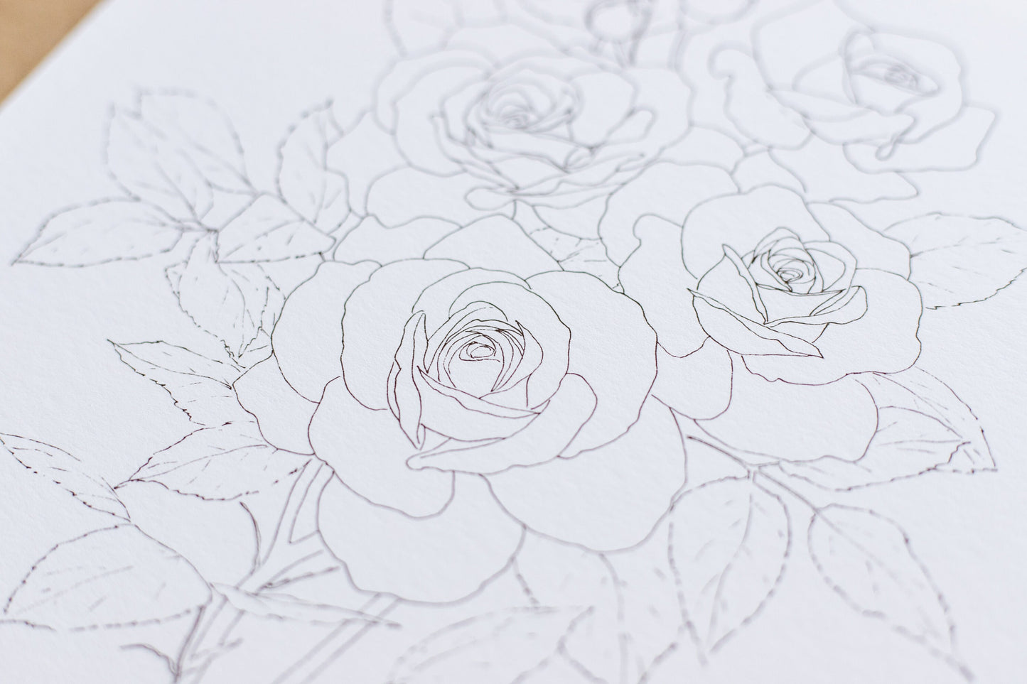 'Garden Rose Branch' giclee print. Unframed