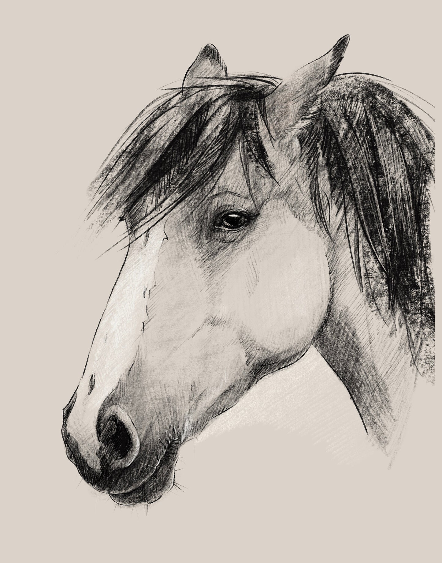 'Sad Eyes' horse giclee print. Unframed