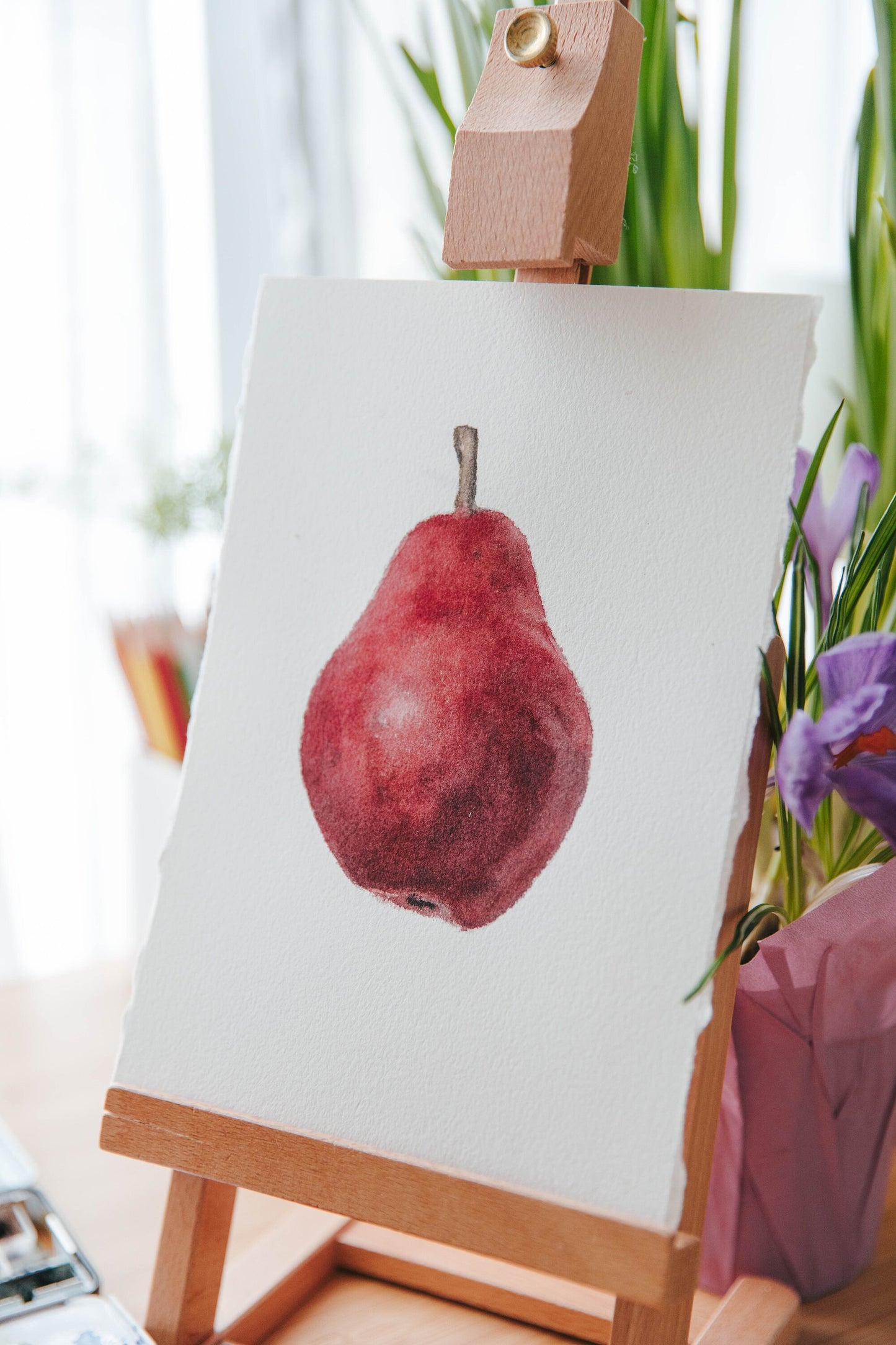 Original Read Anjou Pear watercolor illustration. 6x9in