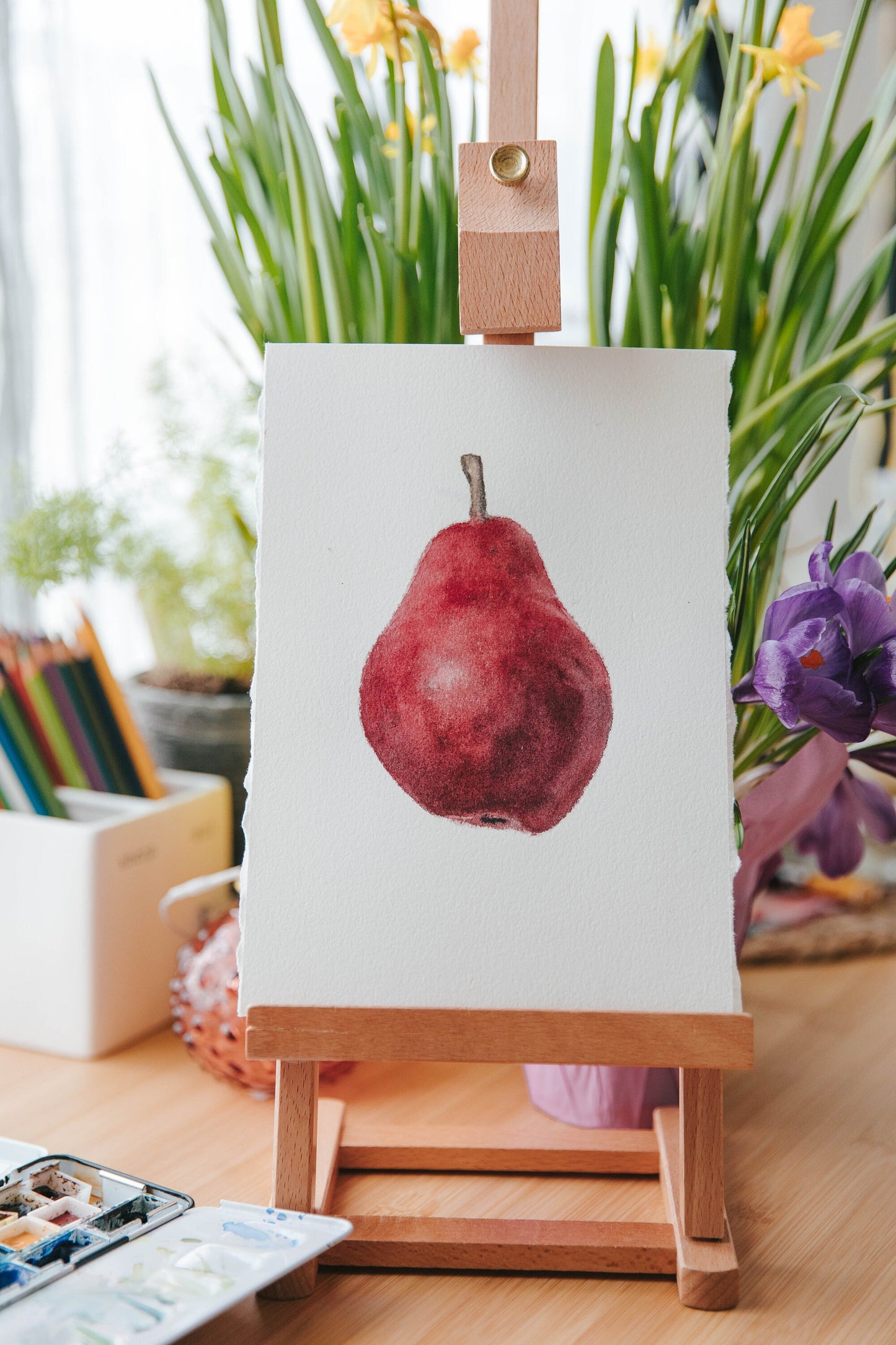 Original Read Anjou Pear watercolor illustration. 6x9in