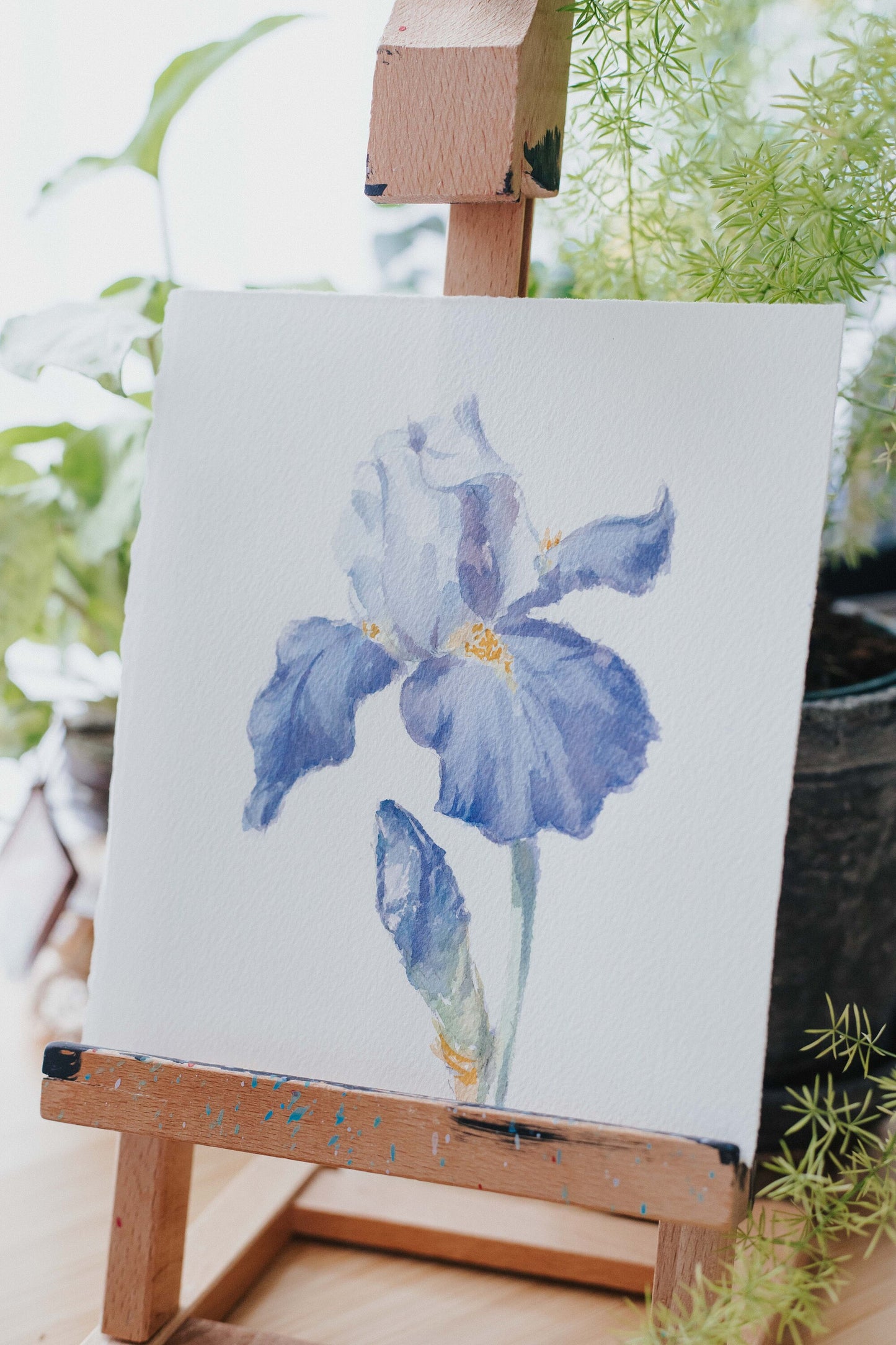 'Blue Iris' original watercolor illustration, 6.5x7in