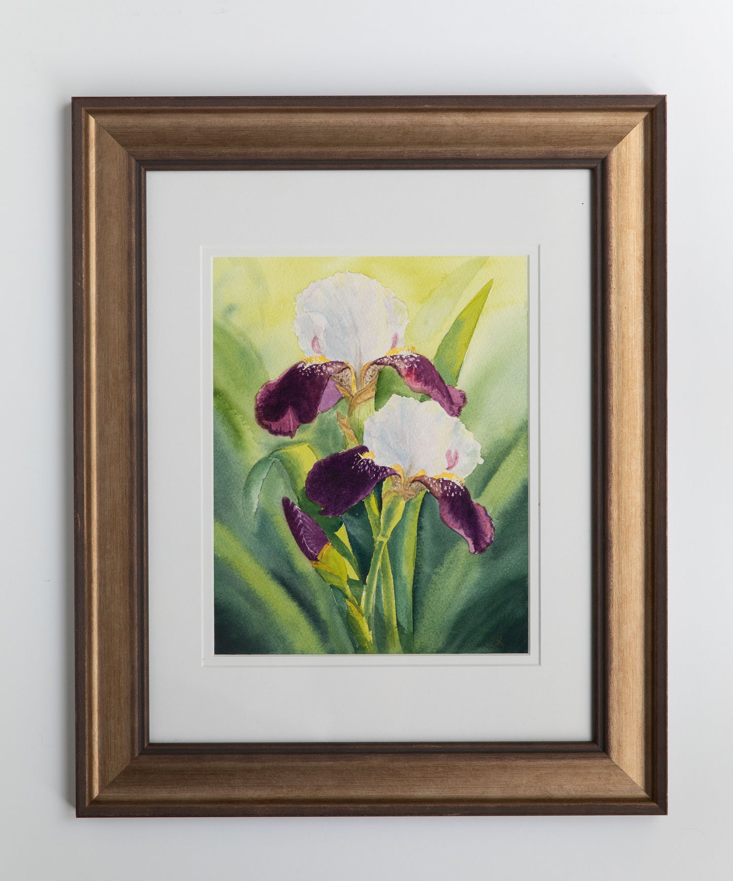 'The Glow of Irises'  8x10 watercolor painting. Framed