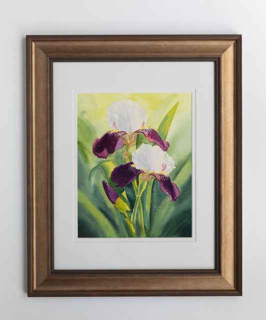 'The Glow of Irises'  8x10 watercolor painting. Framed