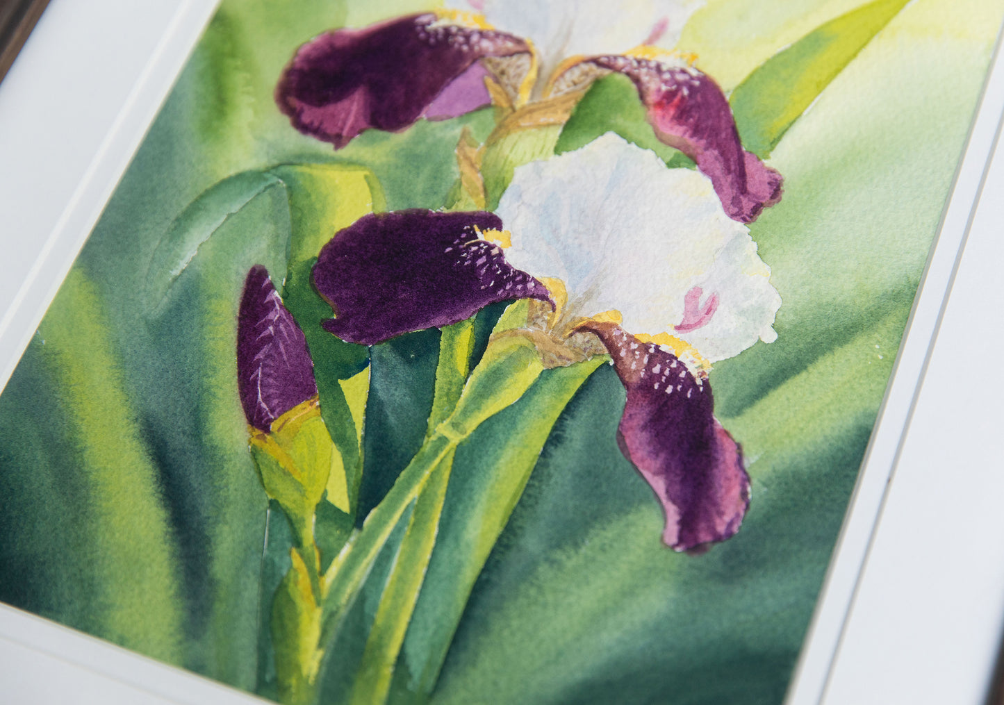 'The Glow of Irises'  8x10 watercolor painting. Framed