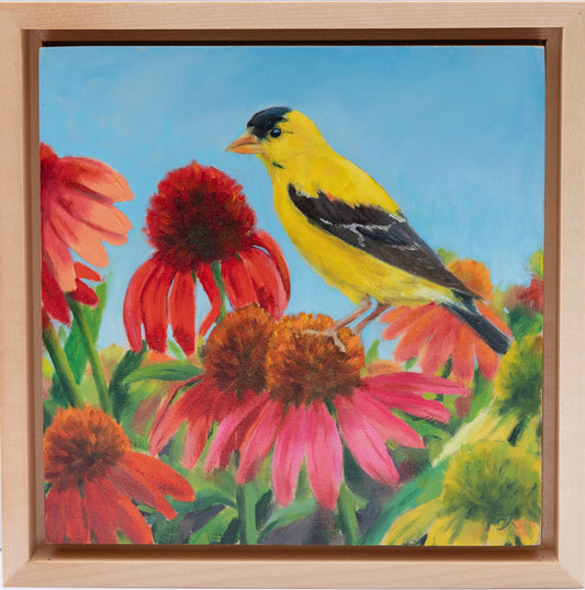 "August's Golden Watcher" 8x8 original oil painting. Framed