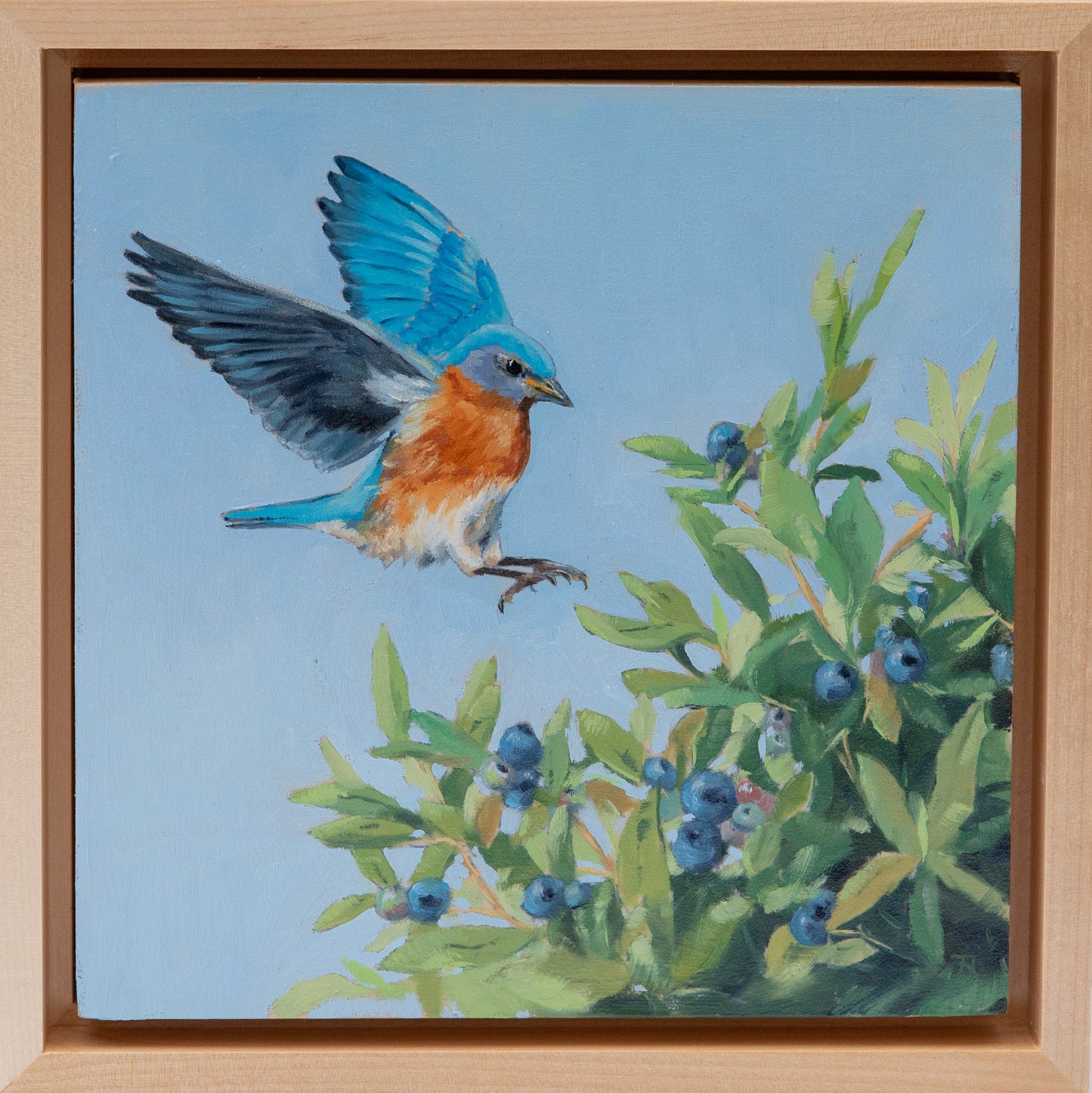 "Blueberry Thief" 8x8 original oil painting. Framed