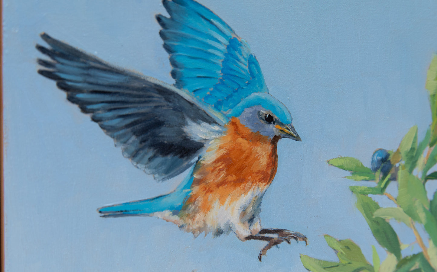 "Blueberry Thief" 8x8 original oil painting. Framed