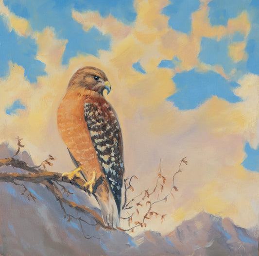 "Gilded Skies of November" 8x8 original oil painting. Framed