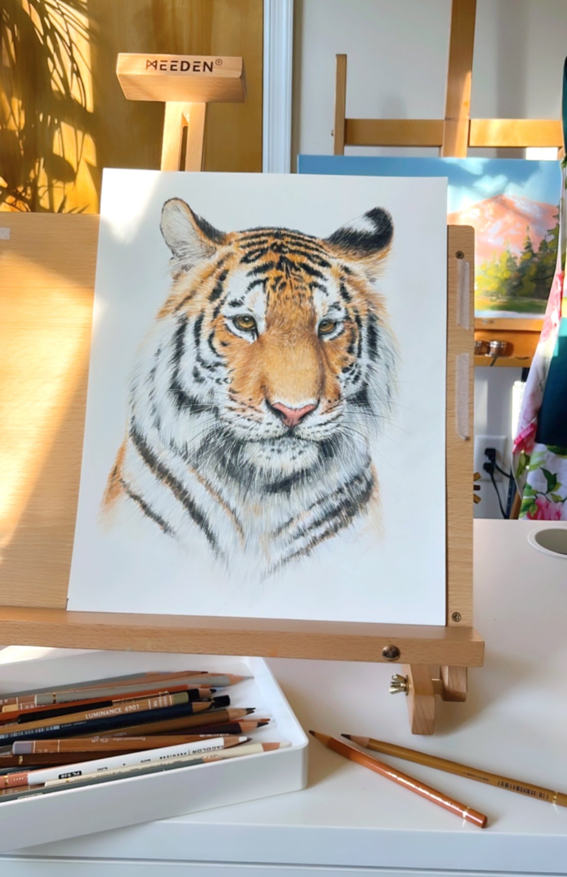 Tiger, original color pencil drawing, 11x14, unframed