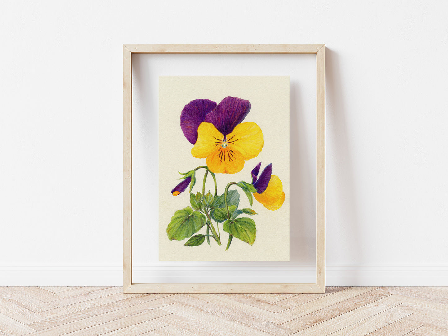 'Yellow and Purple Pansies' giclee print. Unframed