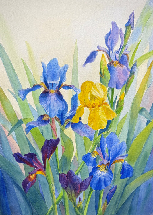 'Summer Solstice'  14x20 watercolor painting. Framed