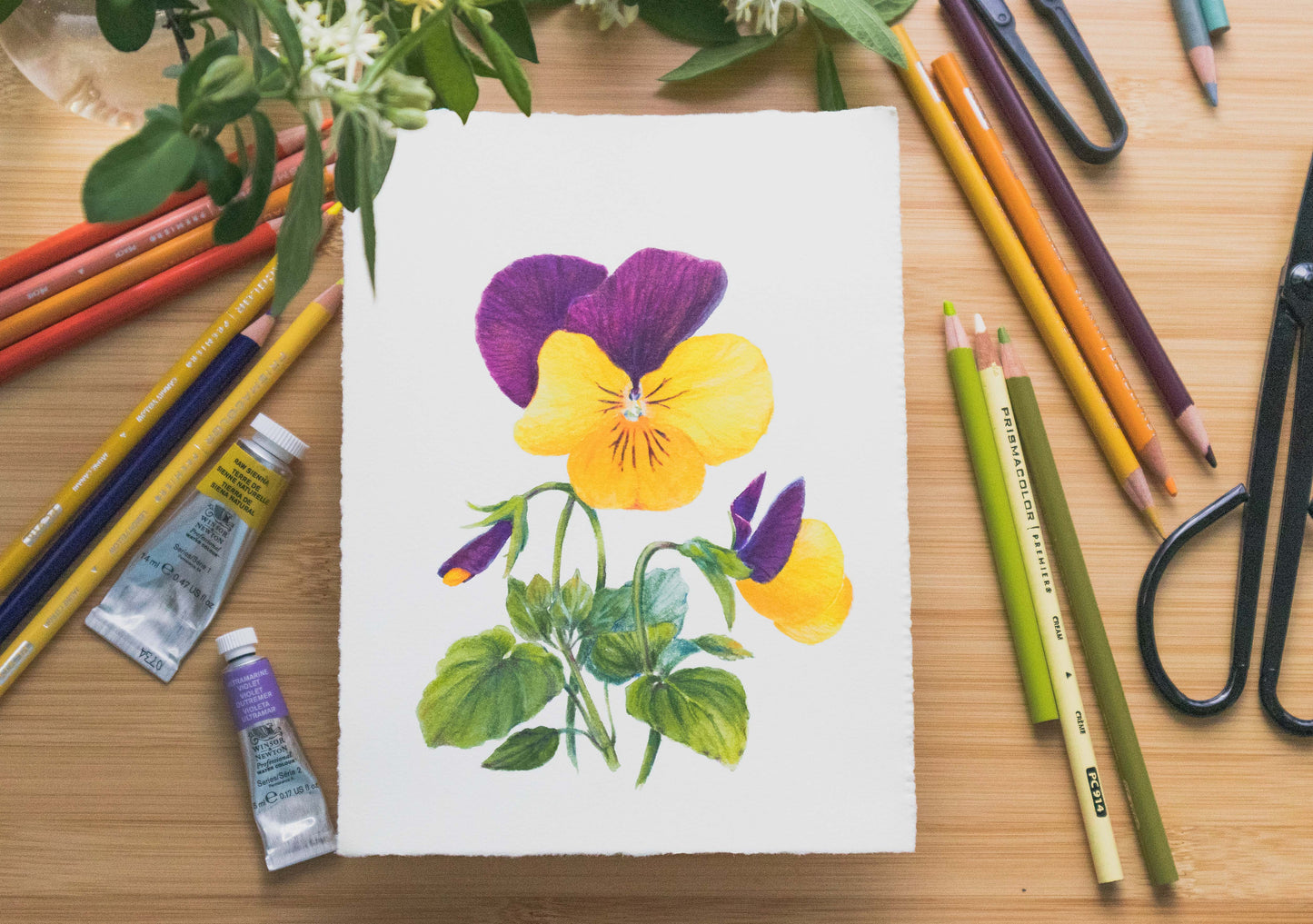 'Pansies' mixed media illustration. 8x6in