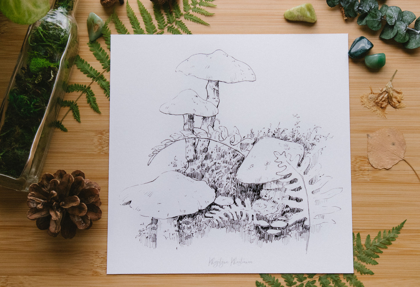 Mushroom Etude #2' giclee print. Unframed