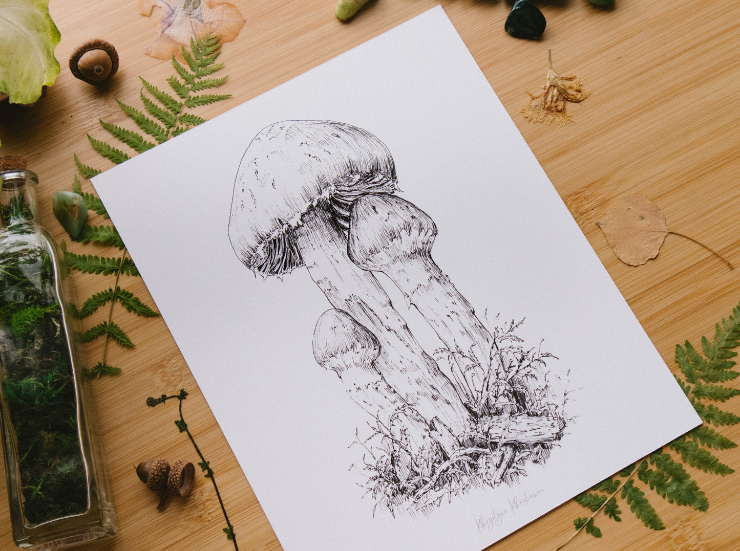 Mushroom Etude #1' giclee print. Unframed