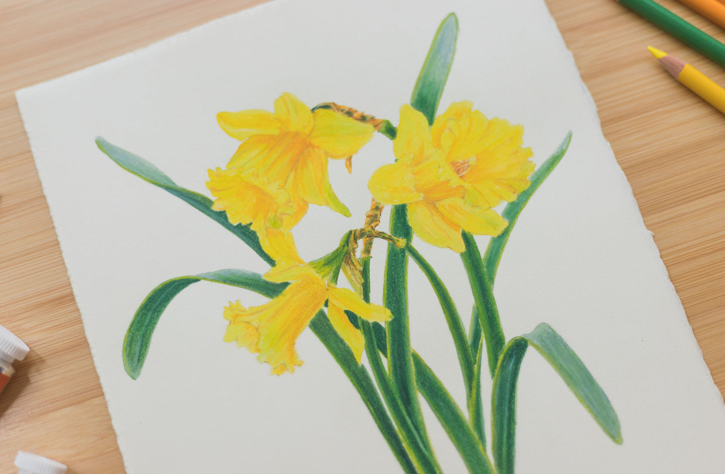 'Daffodils' mixed media illustration. 8x10in