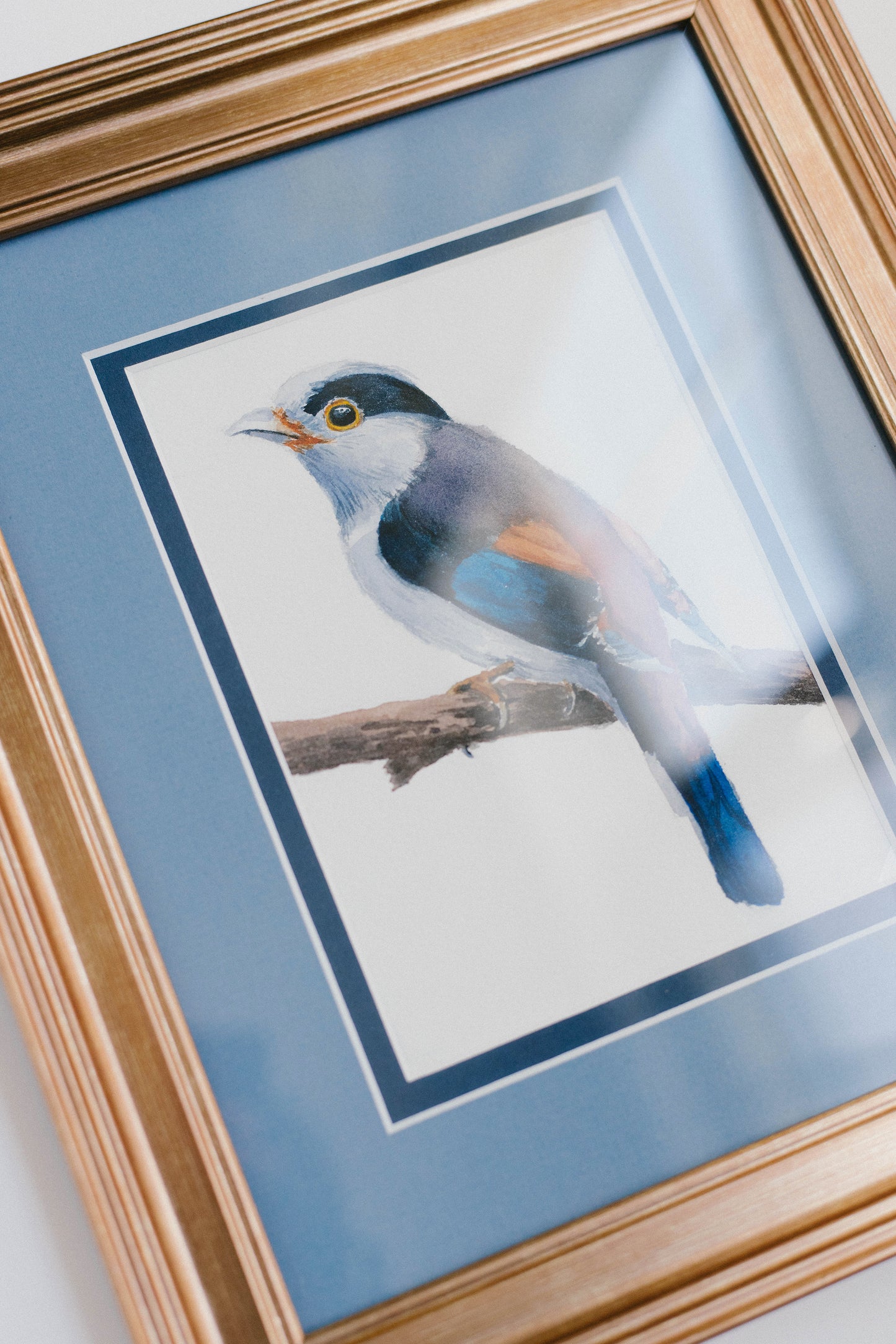 Mighty small, original watercolor bird illustration, 5x7, framed