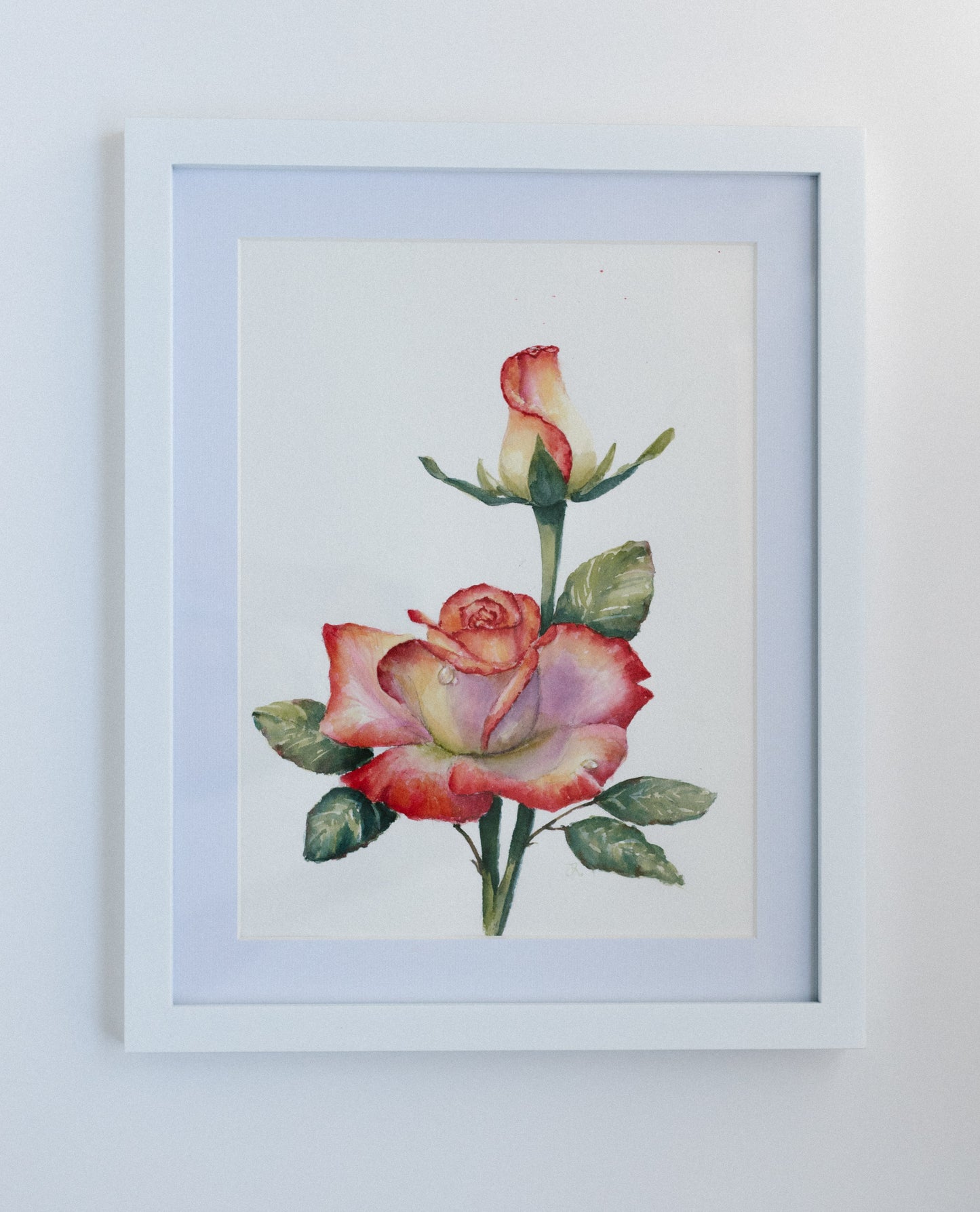 Roses, original watercolor illustration, 9x12, framed