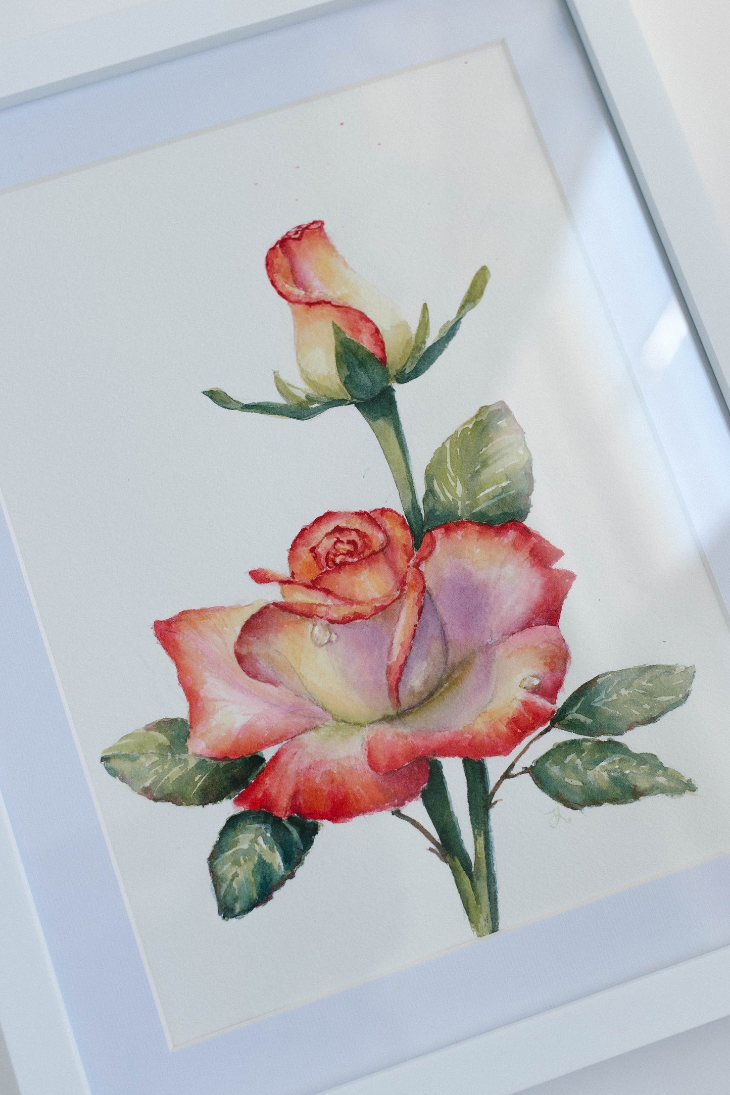 Roses, original watercolor illustration, 9x12, framed