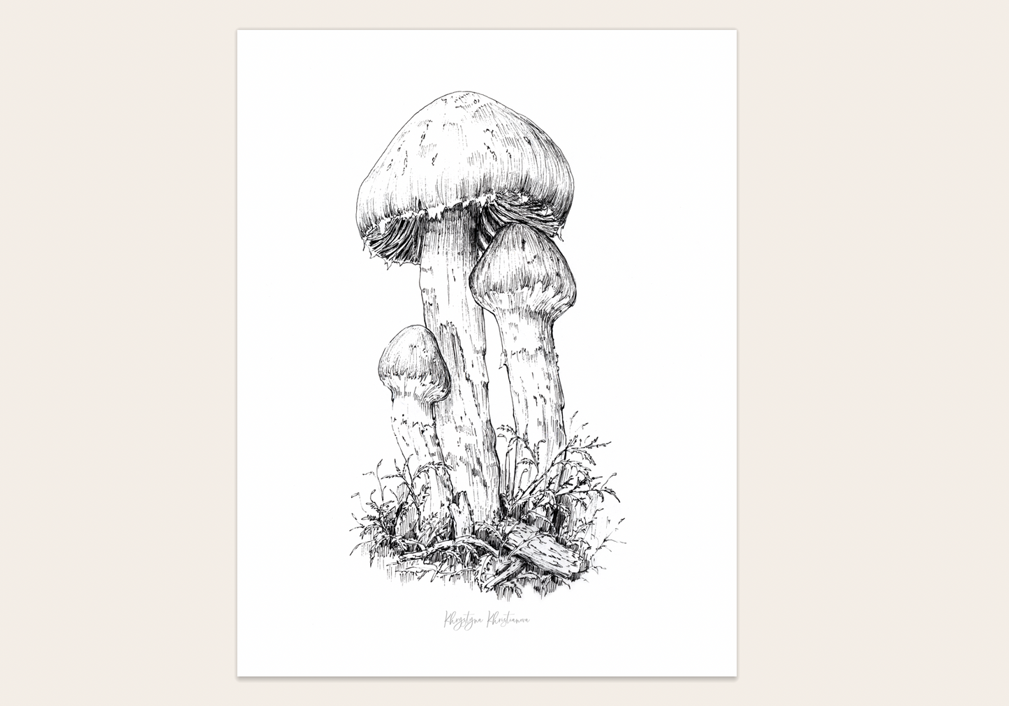 Mushroom Etude #1' giclee print. Unframed