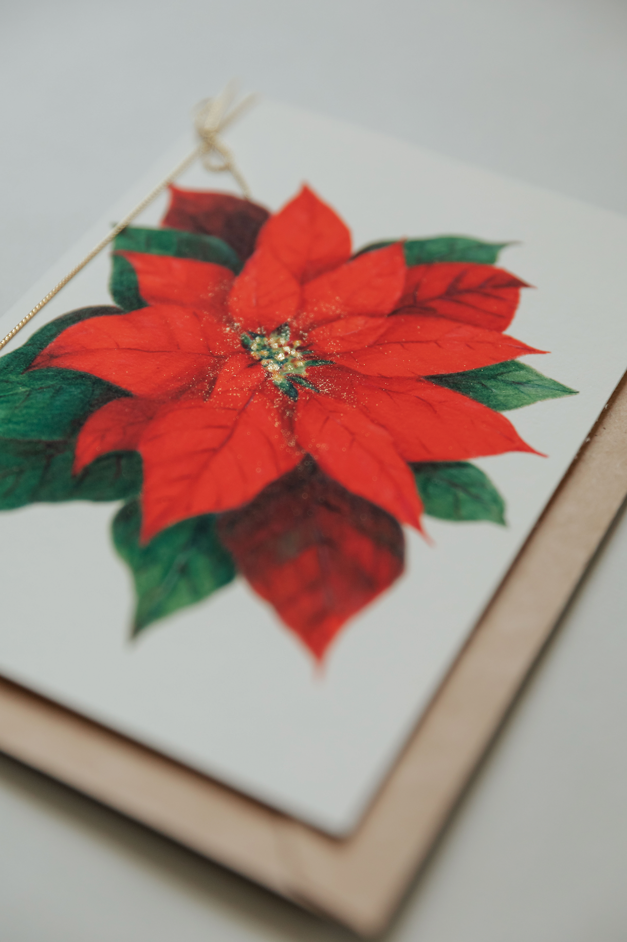 Set os 3 Poinsettia Cards