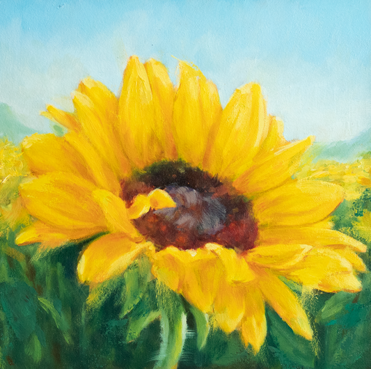 'Rays of Sunshine' 8x8 original oil flower painting. Framed