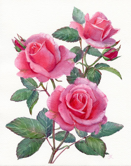 'Pink Whimsy'  8x10 watercolor painting. Framed